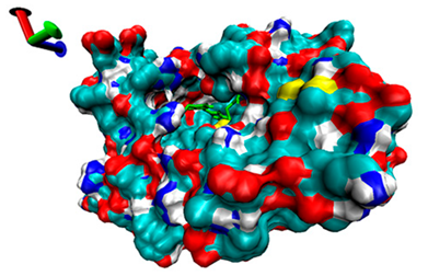 Catalysts 13 00965 i014 Catalysts 13 00965 i014