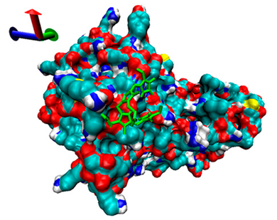 Catalysts 13 00965 i015 Catalysts 13 00965 i015