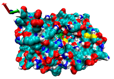 Catalysts 13 00965 i016 Catalysts 13 00965 i016