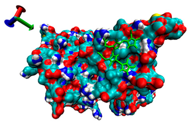 Catalysts 13 00965 i017 Catalysts 13 00965 i017