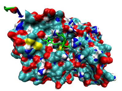 Catalysts 13 00965 i018 Catalysts 13 00965 i018