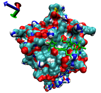 Catalysts 13 00965 i019 Catalysts 13 00965 i019