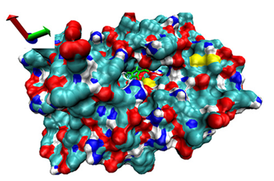 Catalysts 13 00965 i020 Catalysts 13 00965 i020