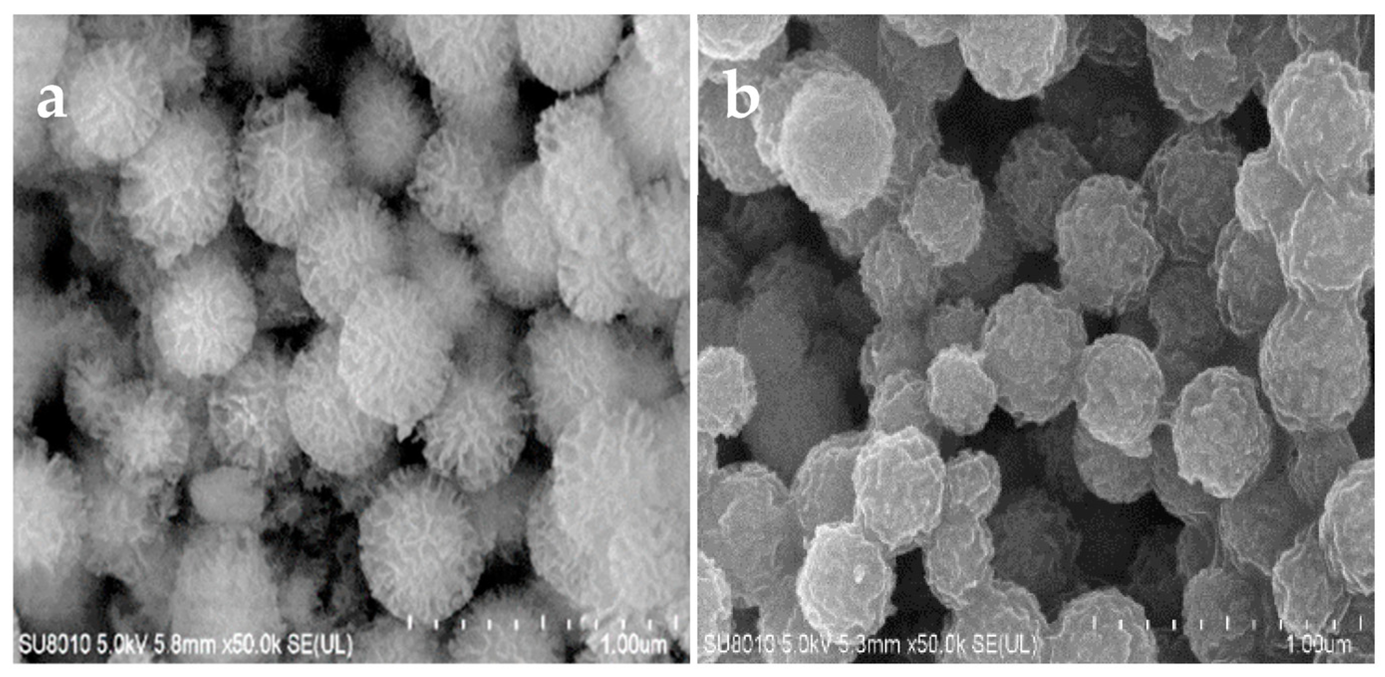 Catalysts 13 00969 g005 Catalysts 13 00969 g005