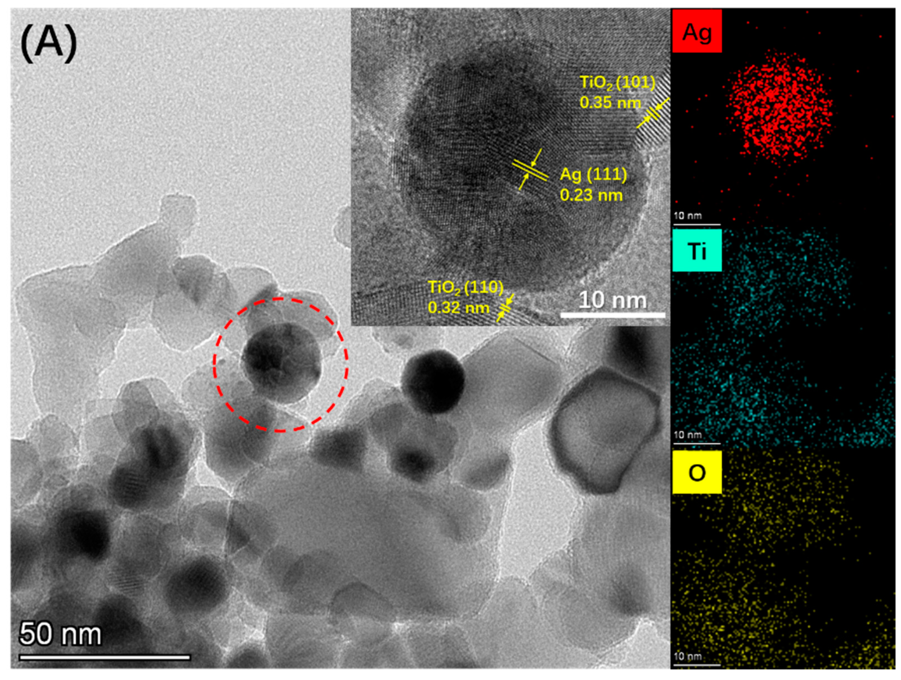Catalysts 13 00970 g001a Catalysts 13 00970 g001a