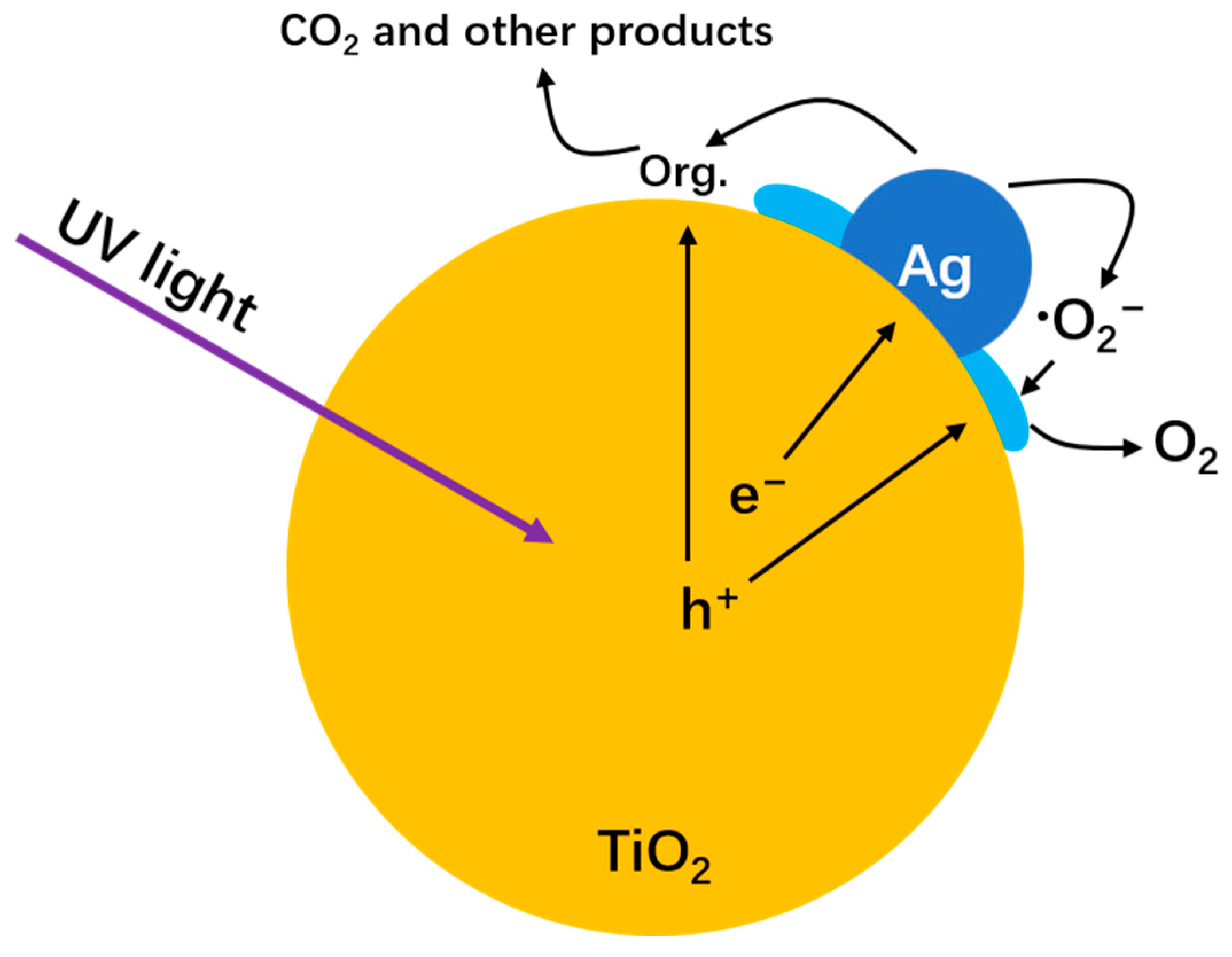Catalysts 13 00970 g009 Catalysts 13 00970 g009