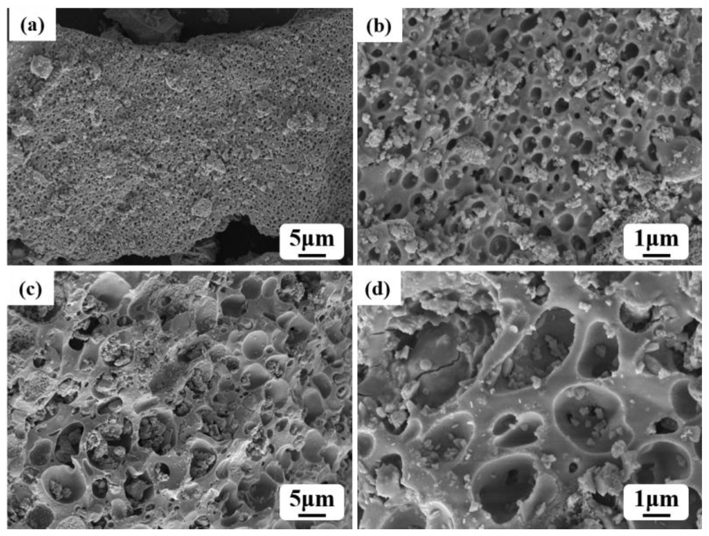 Catalysts 13 00971 g003 Catalysts 13 00971 g003