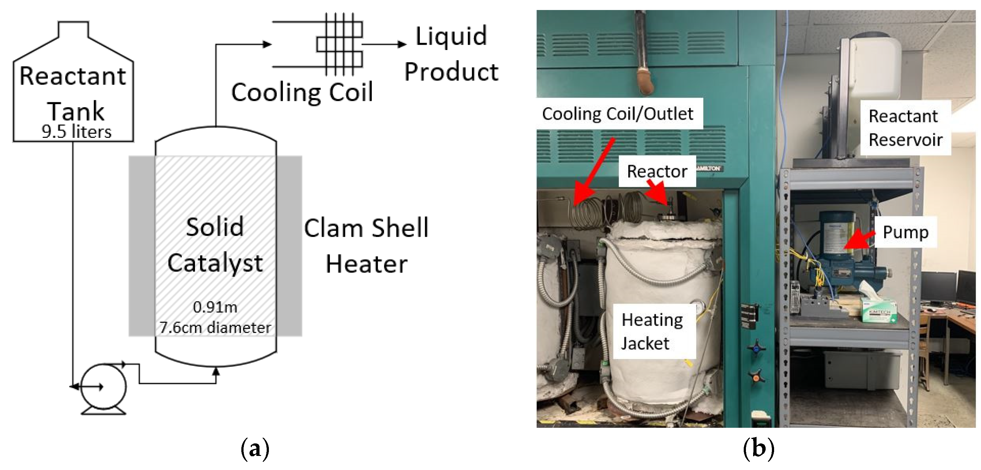 Catalysts 13 00972 g004
