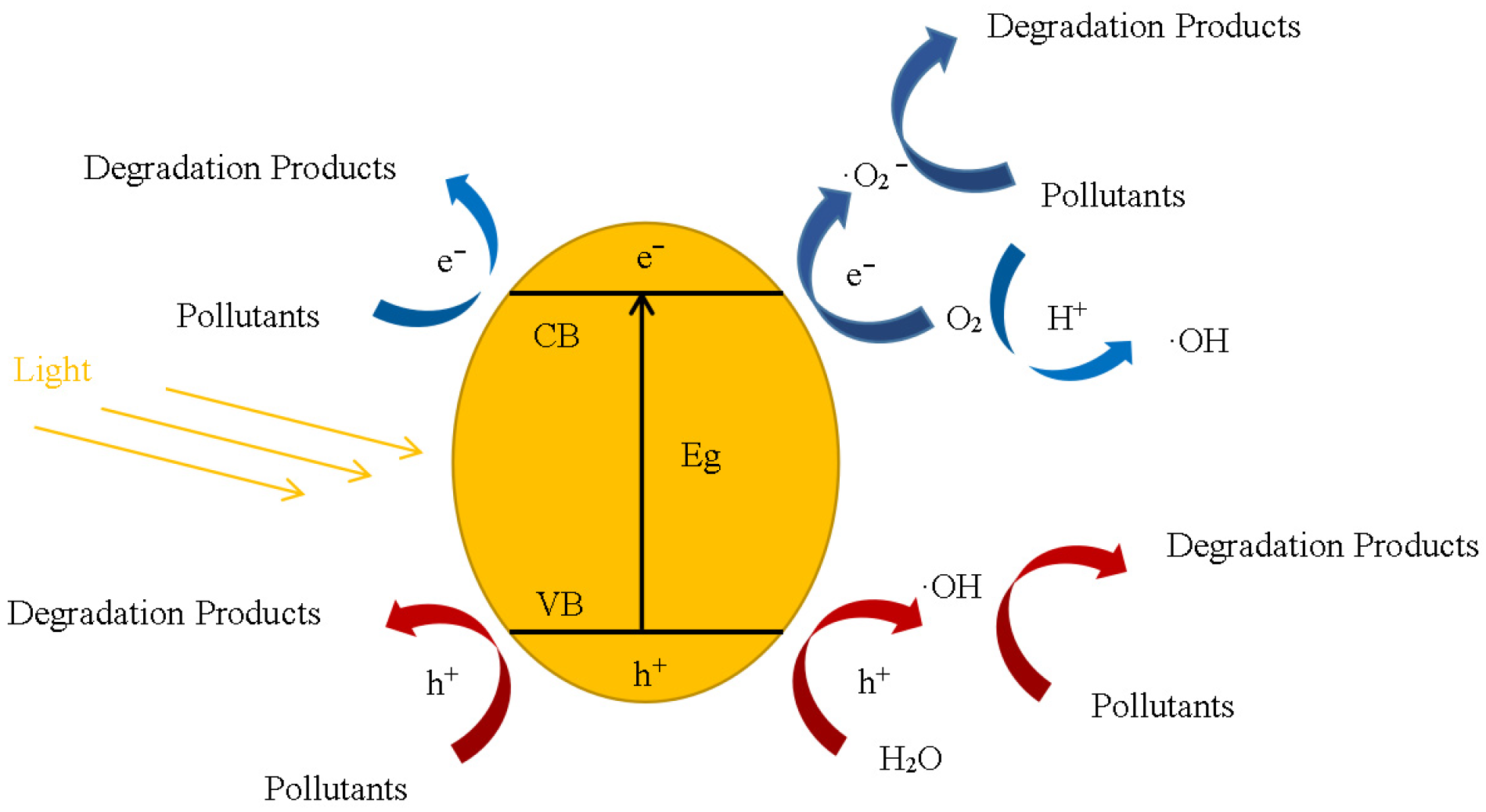 Catalysts 13 00974 g001 Catalysts 13 00974 g001