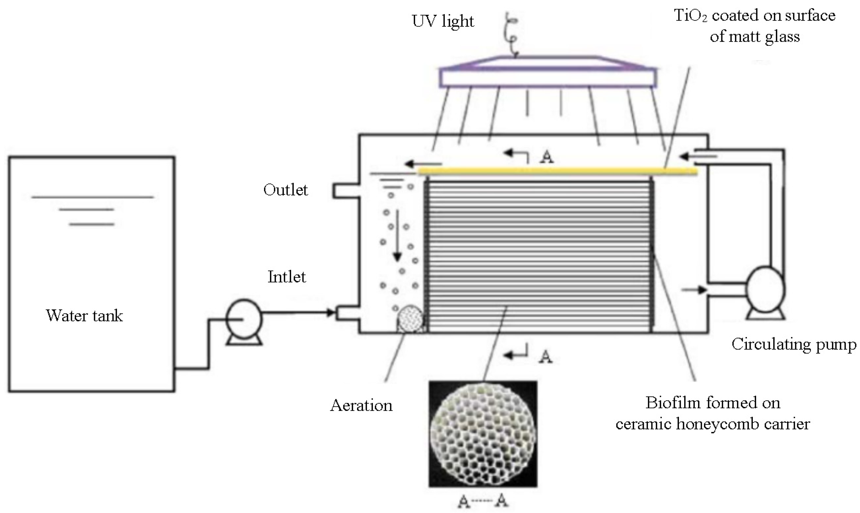 Catalysts 13 00974 g014 Catalysts 13 00974 g014