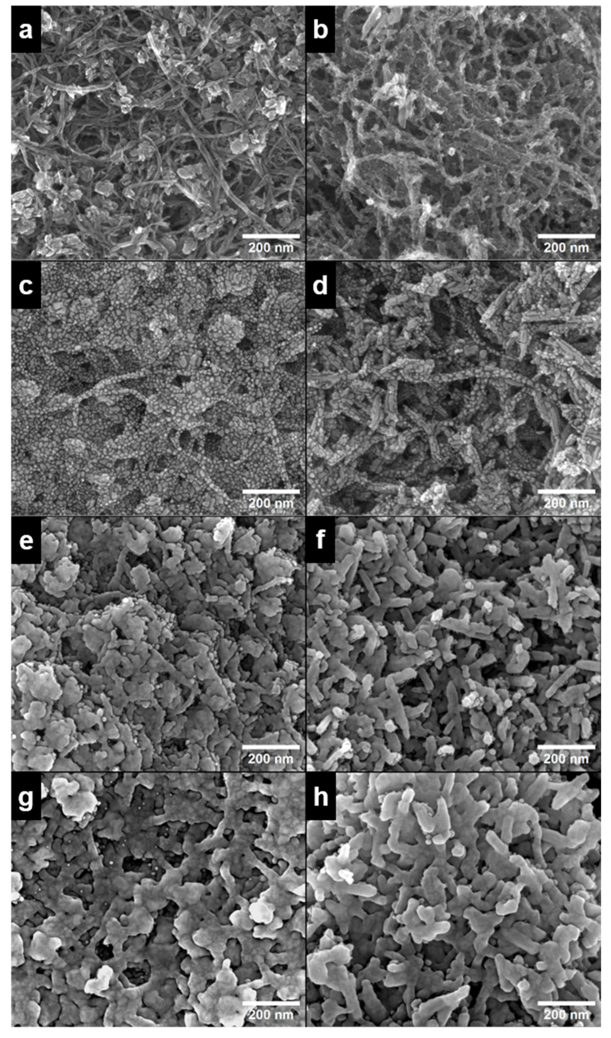 Catalysts 13 00976 g001 Catalysts 13 00976 g001