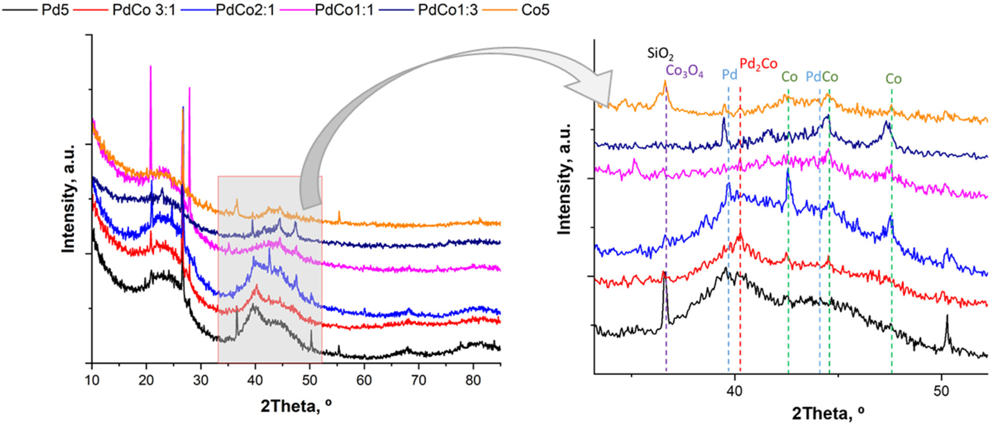 Catalysts 13 00977 g002