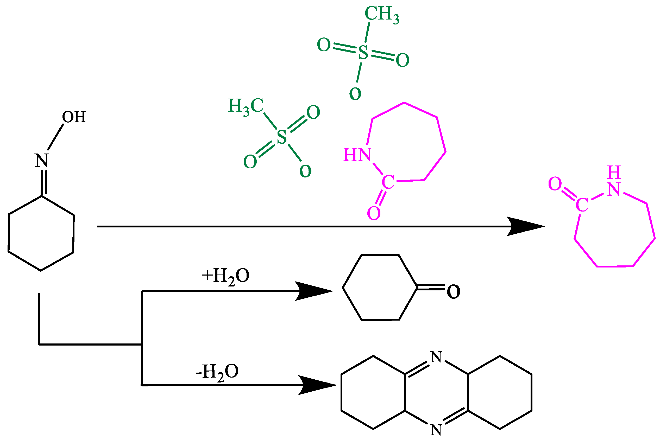 Catalysts 13 00978 sch002 Catalysts 13 00978 sch002