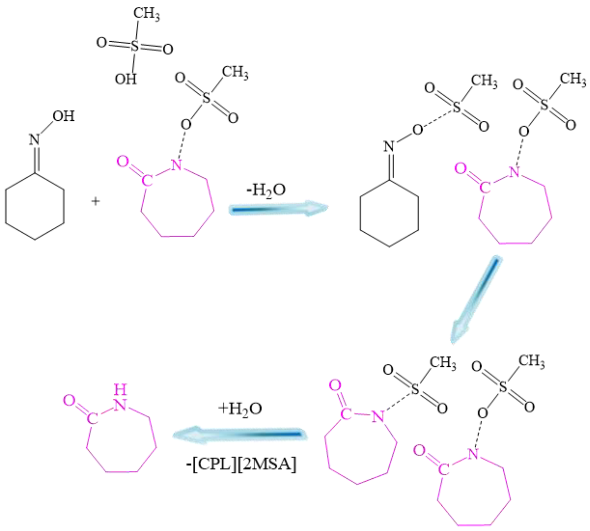 Catalysts 13 00978 sch003 Catalysts 13 00978 sch003