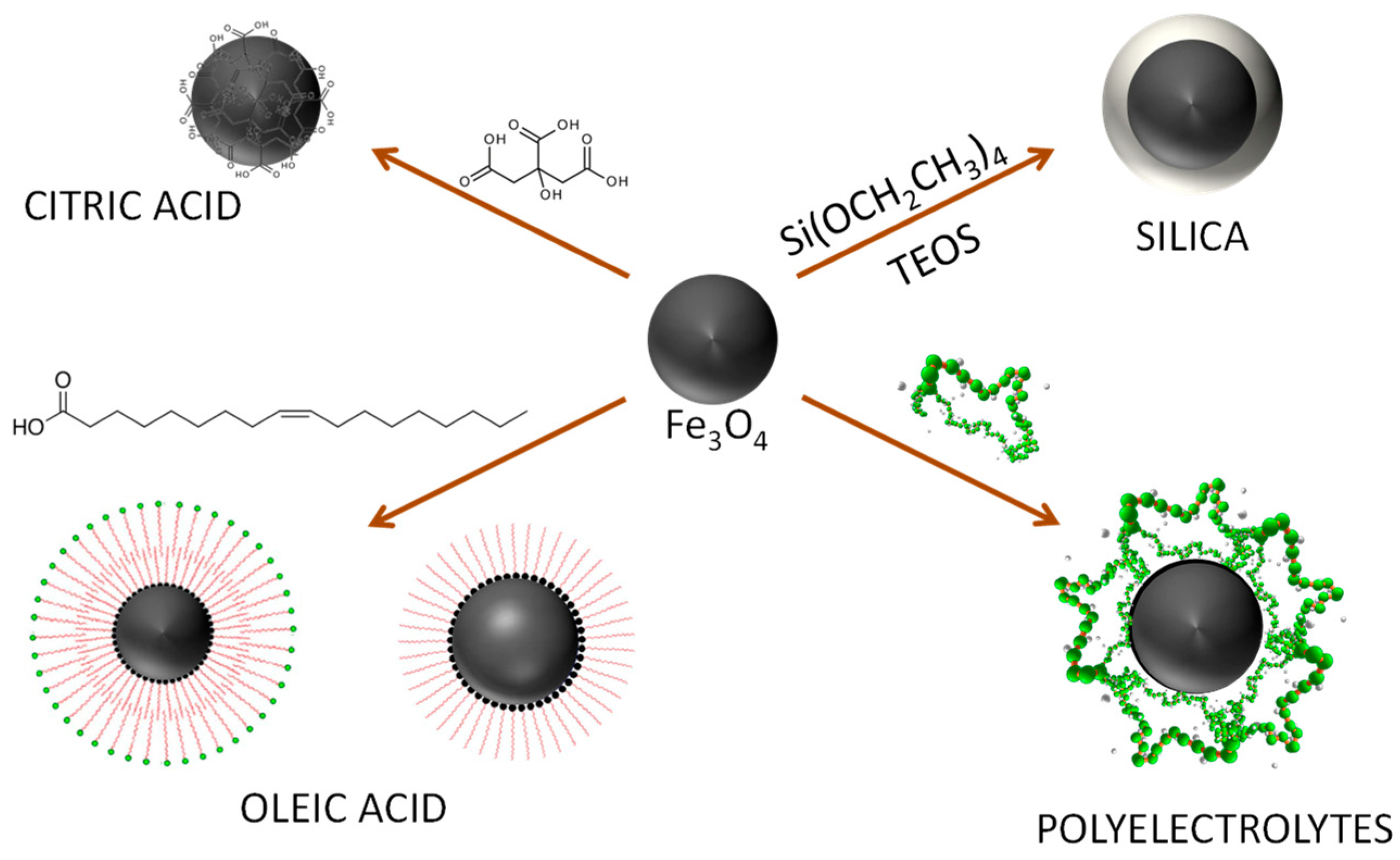 Catalysts 13 00980 g002