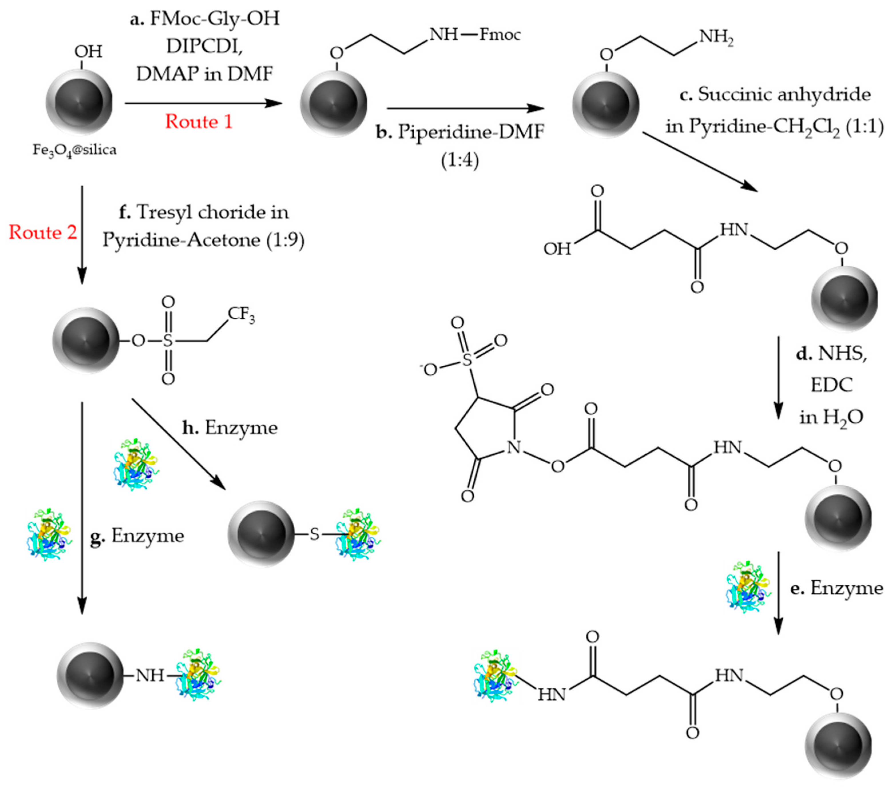 Catalysts 13 00980 g003