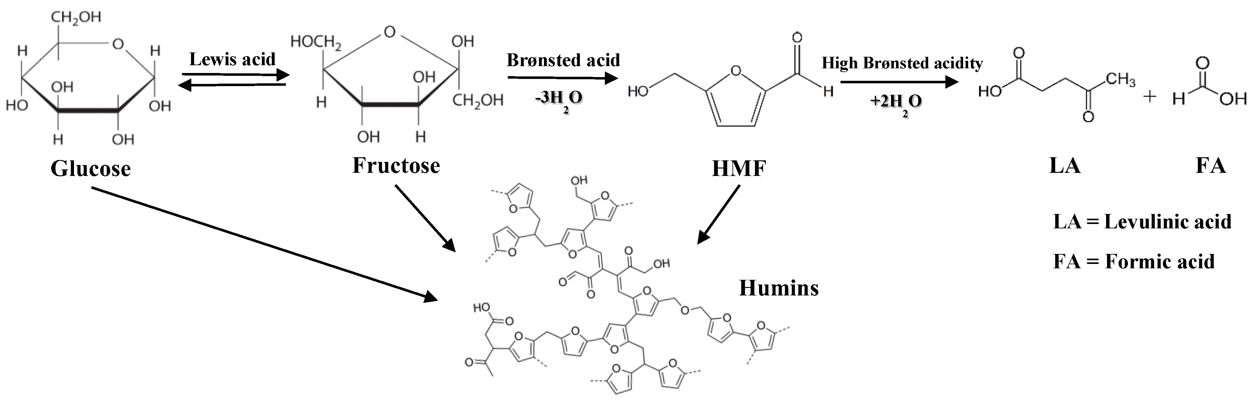 Catalysts 13 00982 g006