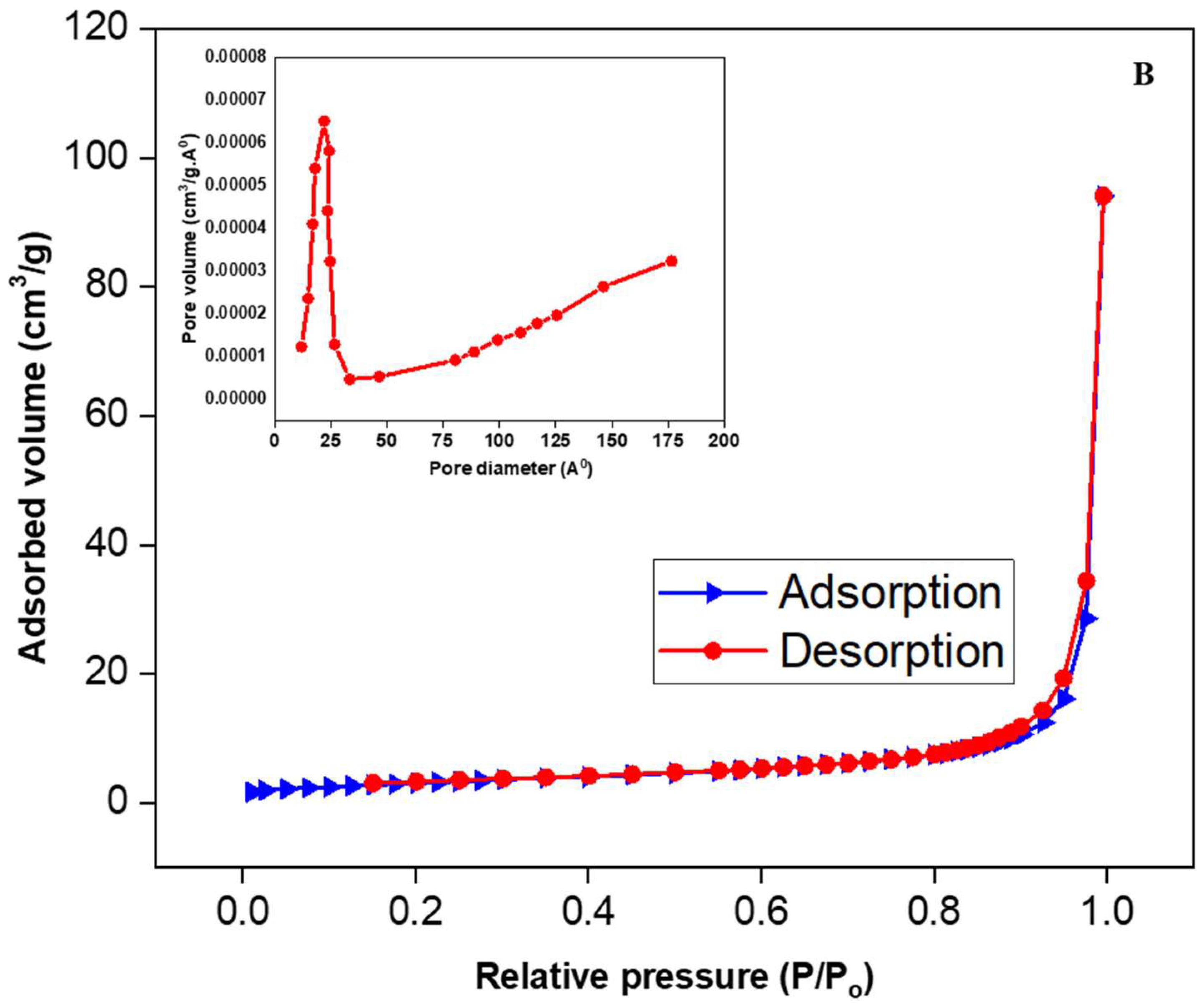 Catalysts 13 00985 g006b Catalysts 13 00985 g006b