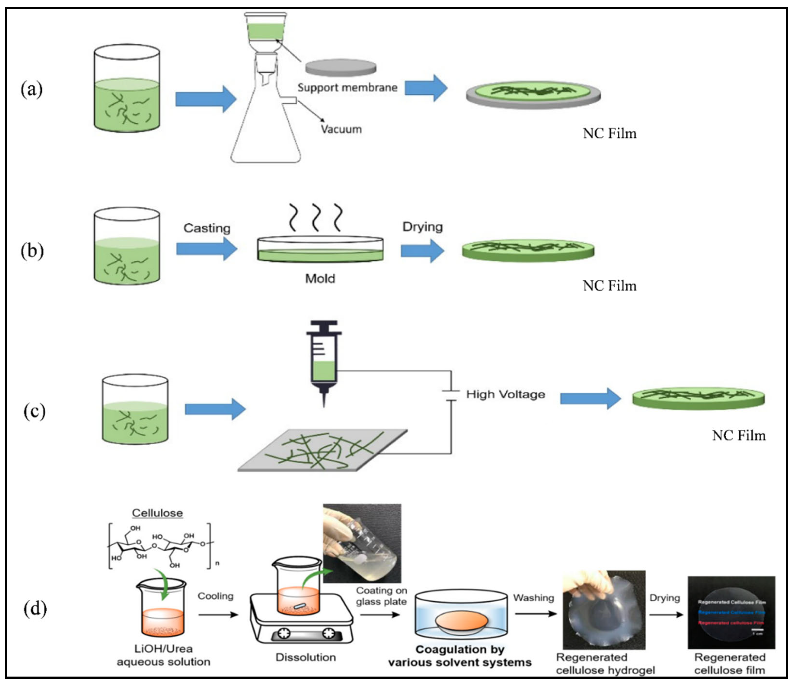Catalysts | Free Full-Text | Role of Nanocellulose in Light