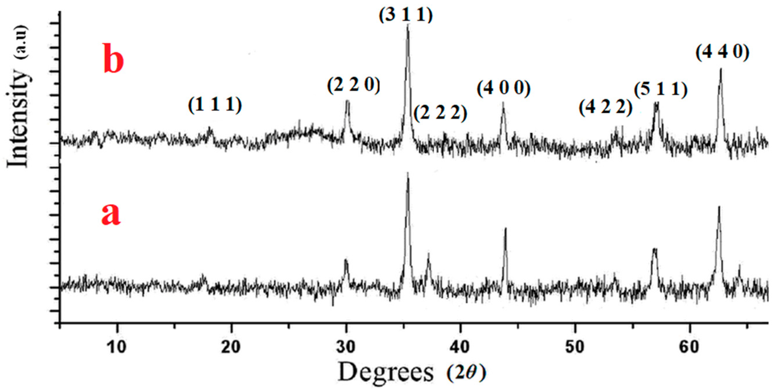 Catalysts 13 00989 g002