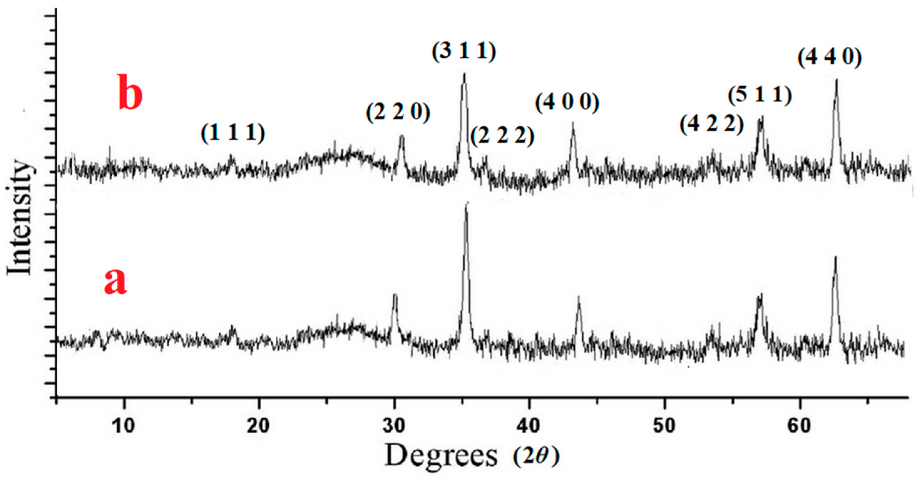 Catalysts 13 00989 g004