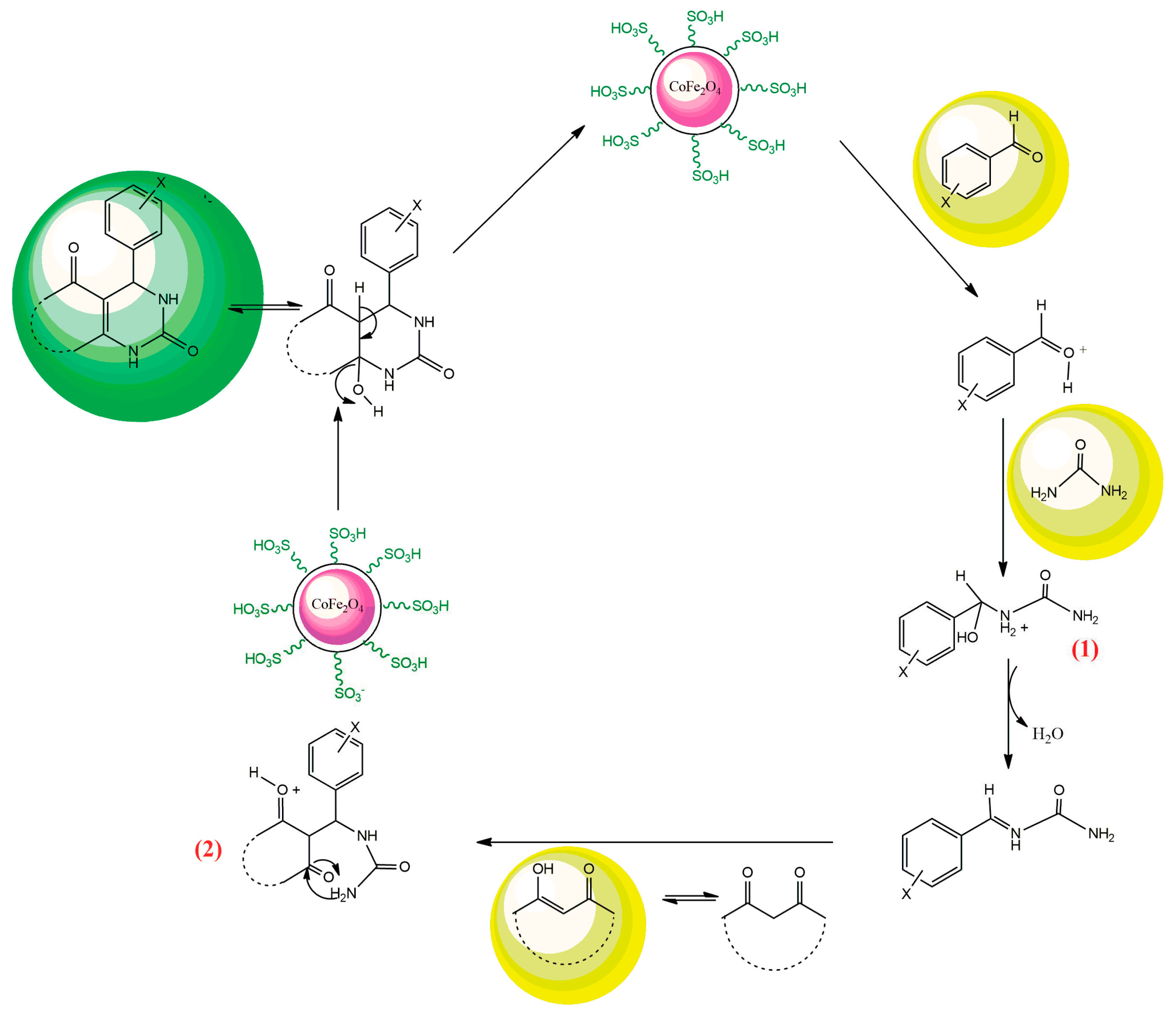 Catalysts 13 00989 sch002