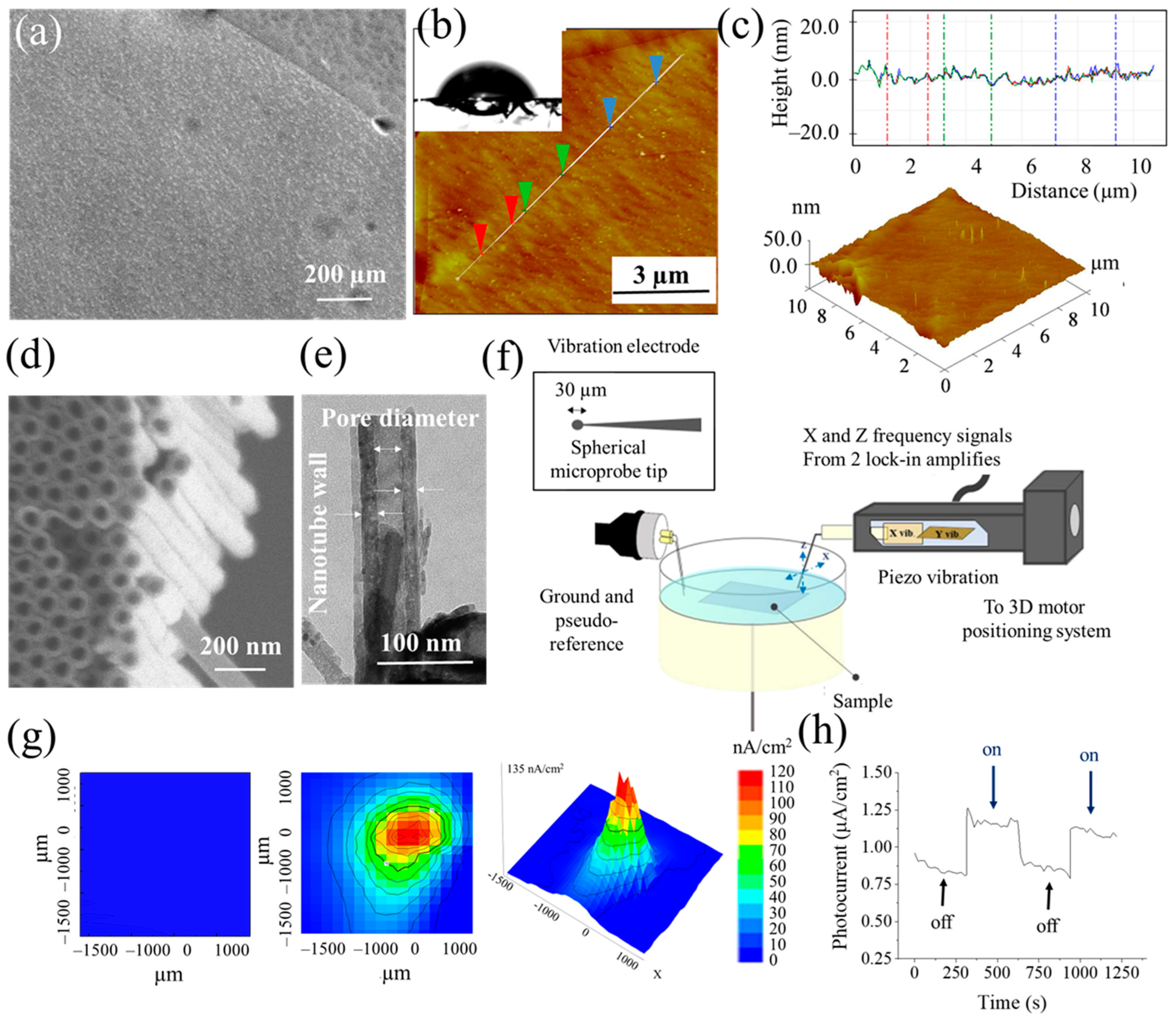 Catalysts 13 00993 g001 Catalysts 13 00993 g001