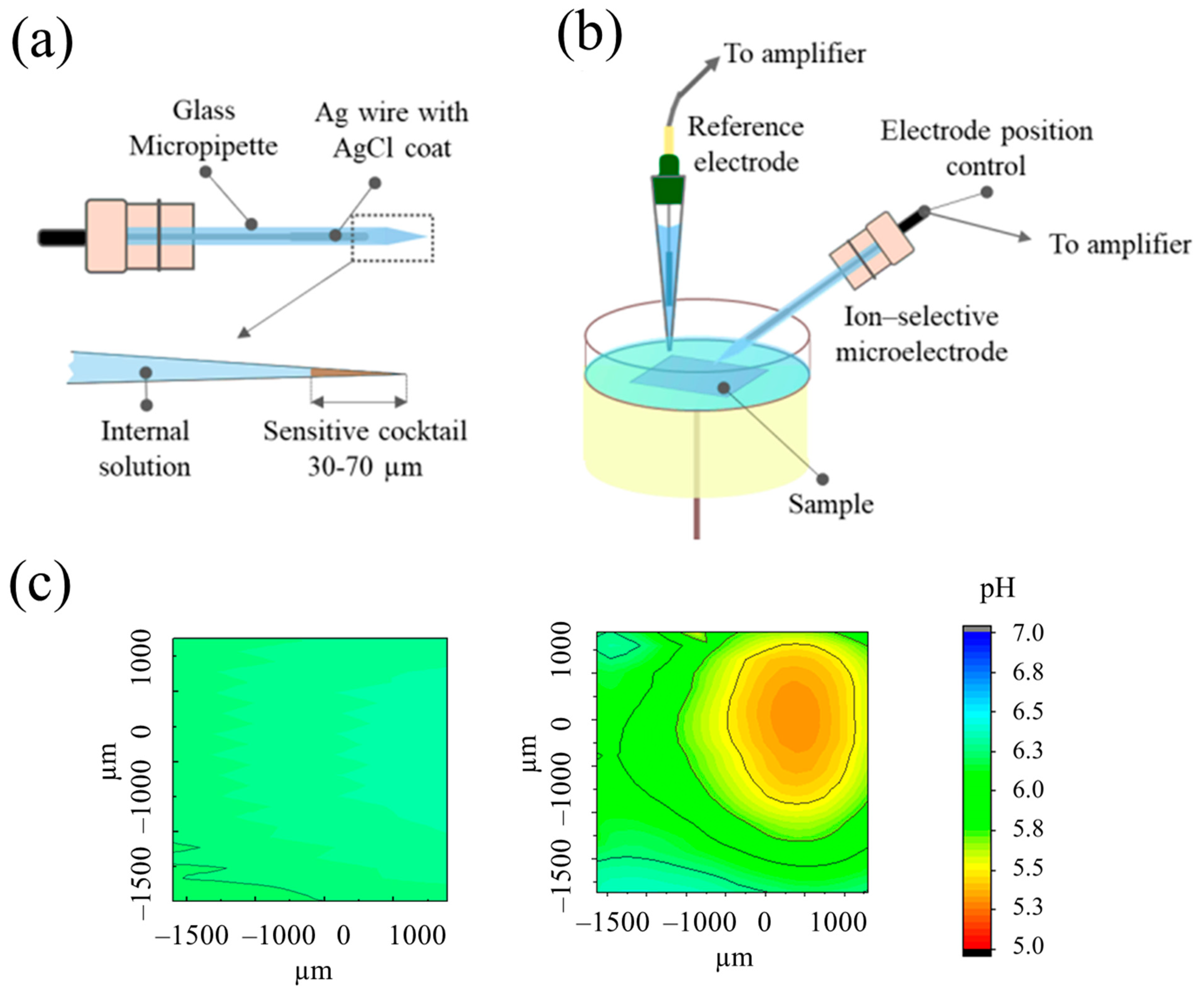 Catalysts 13 00993 g002 Catalysts 13 00993 g002