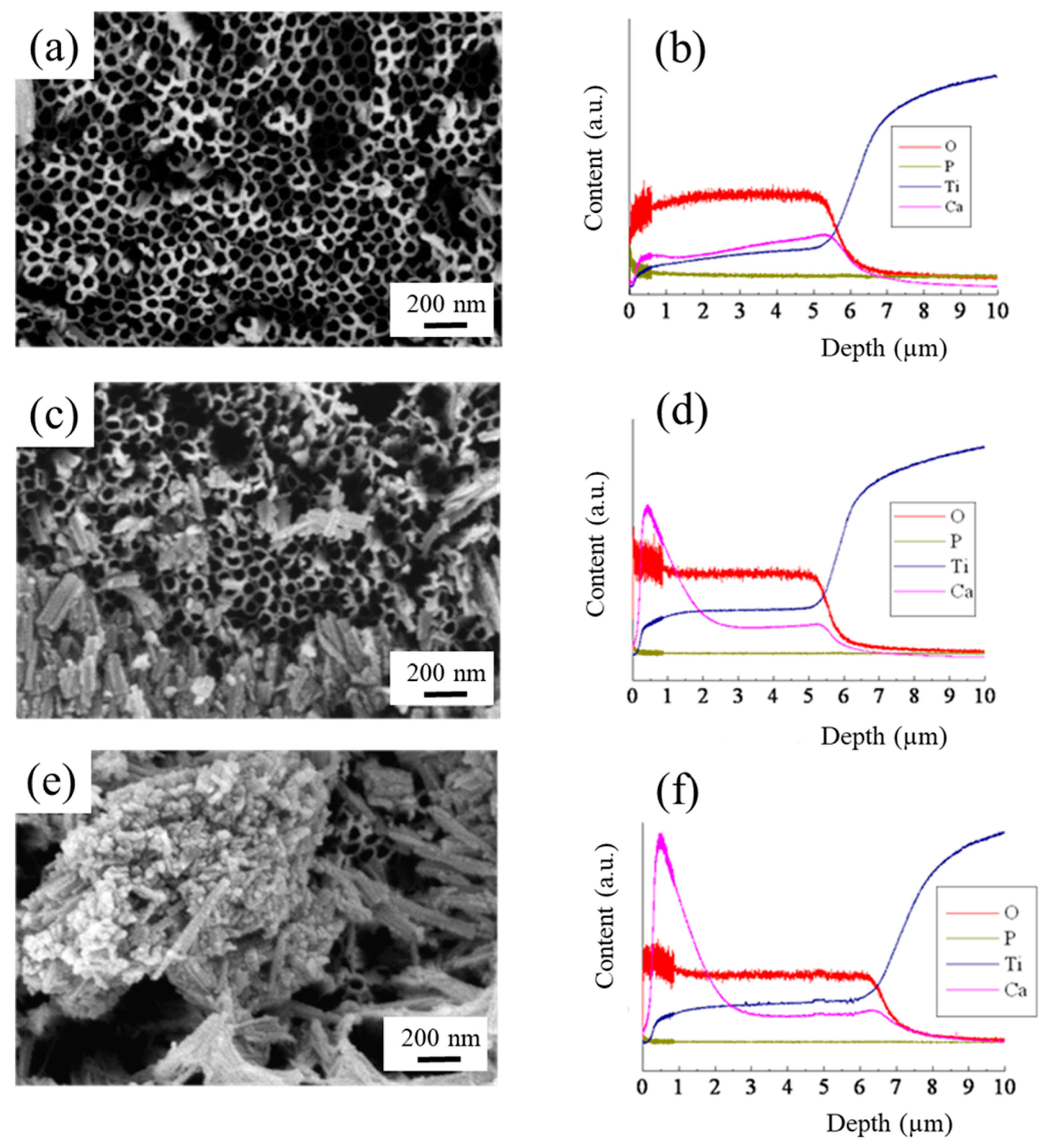 Catalysts 13 00993 g004 Catalysts 13 00993 g004