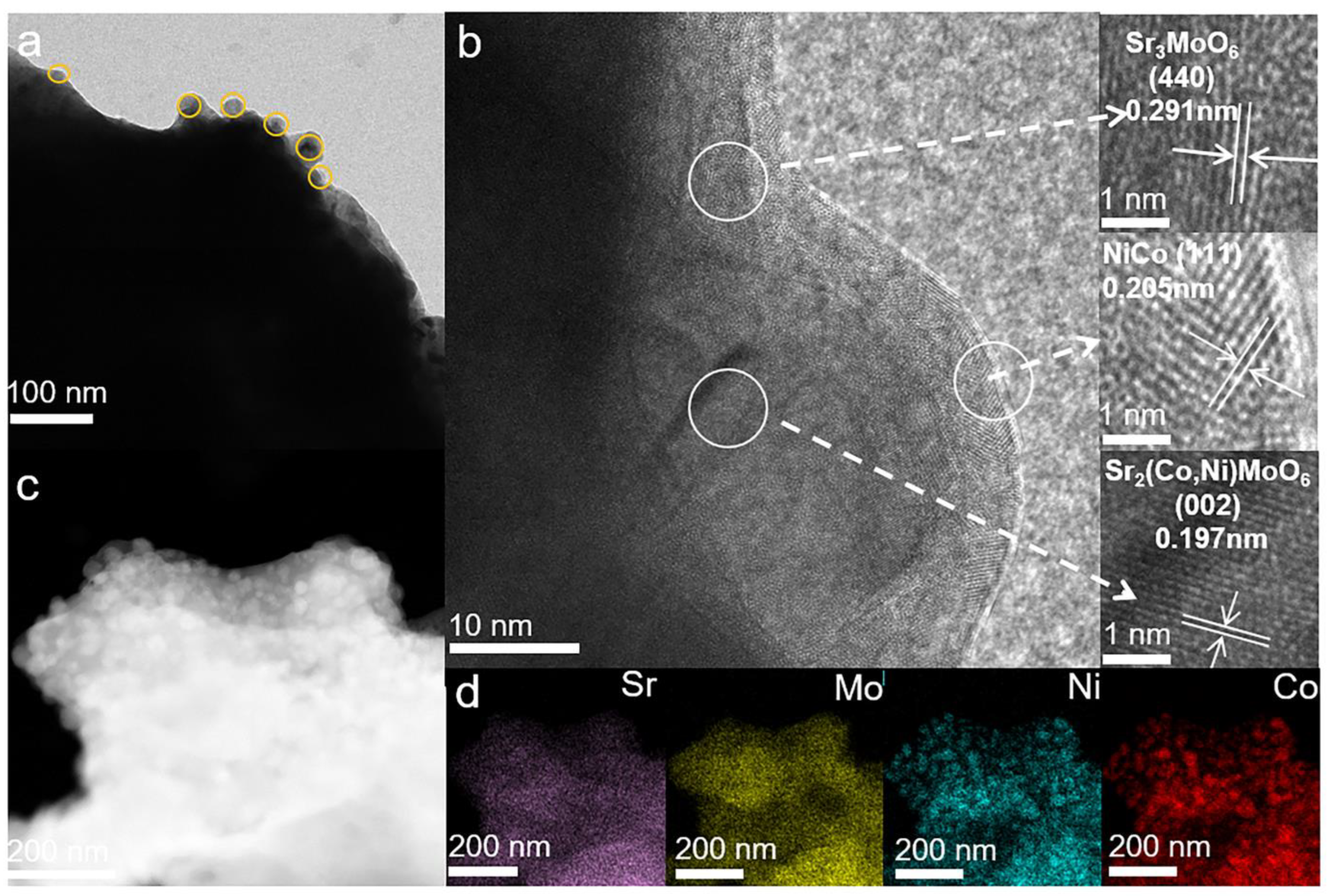 Catalysts 13 00996 g002