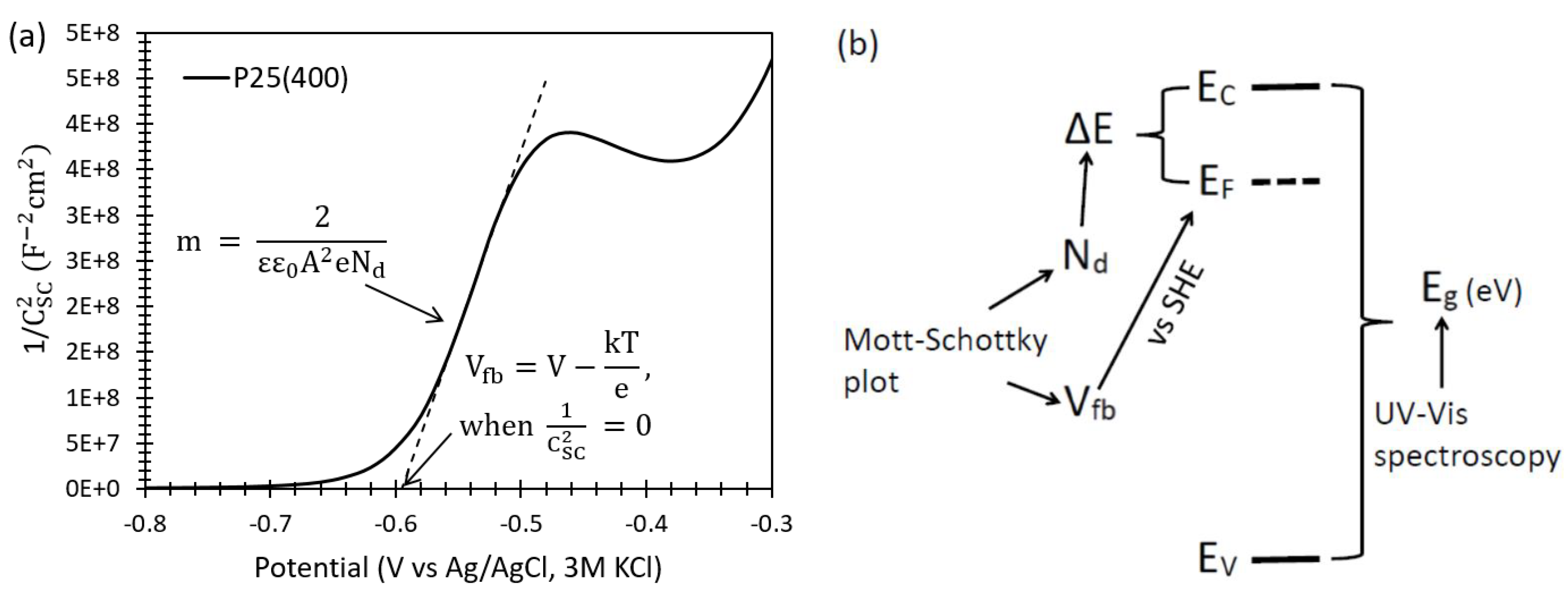 Catalysts 13 01000 g001 Catalysts 13 01000 g001