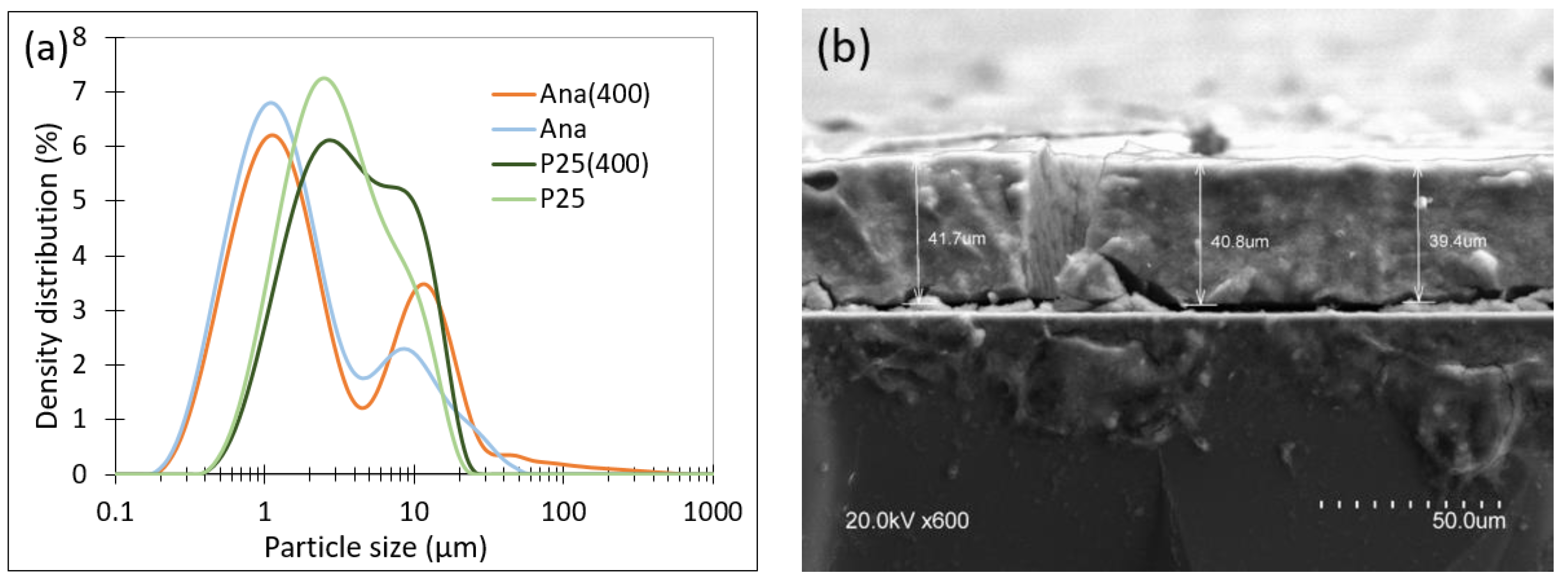 Catalysts 13 01000 g003a Catalysts 13 01000 g003a