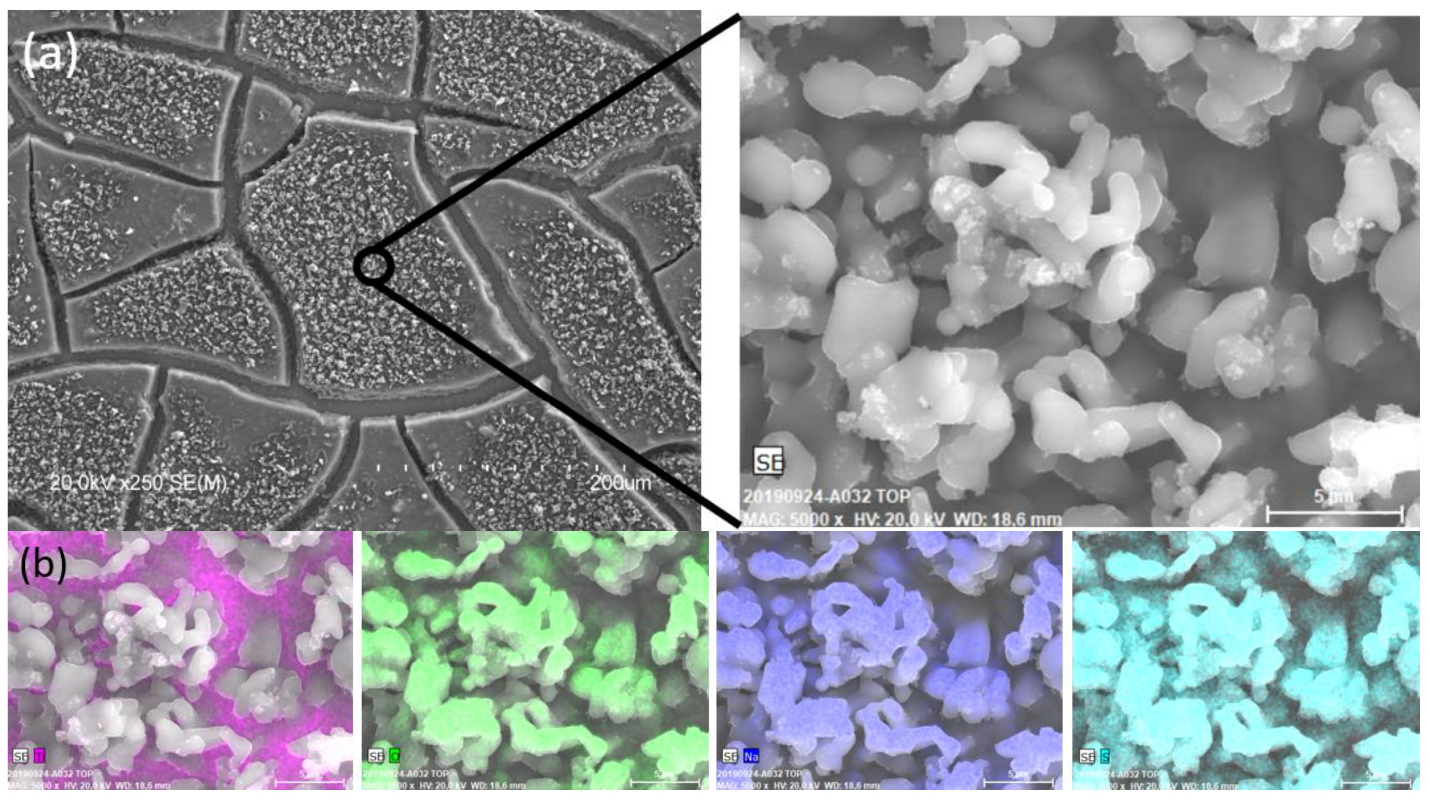 Catalysts 13 01000 g006a Catalysts 13 01000 g006a