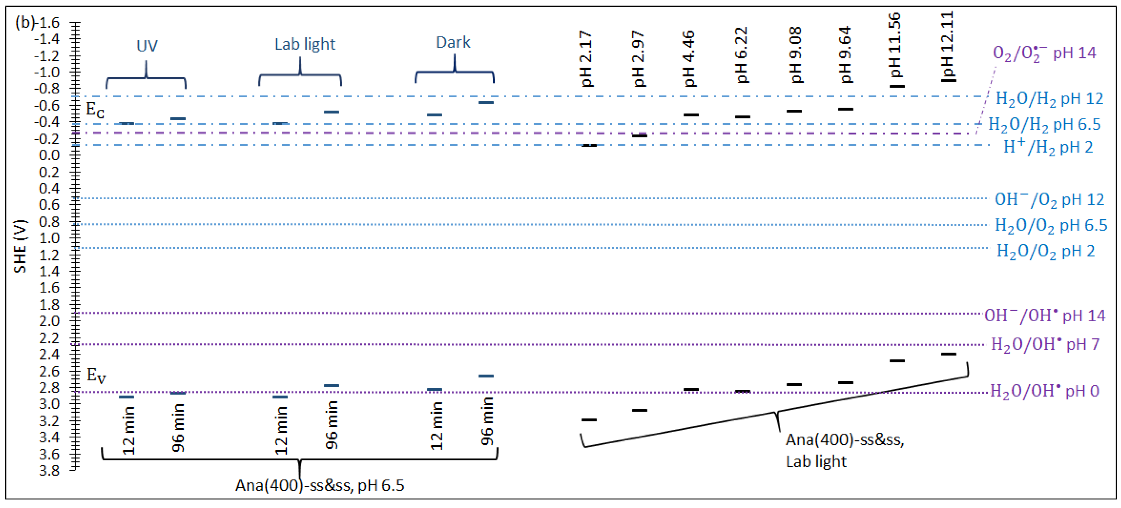 Catalysts 13 01000 g012b Catalysts 13 01000 g012b