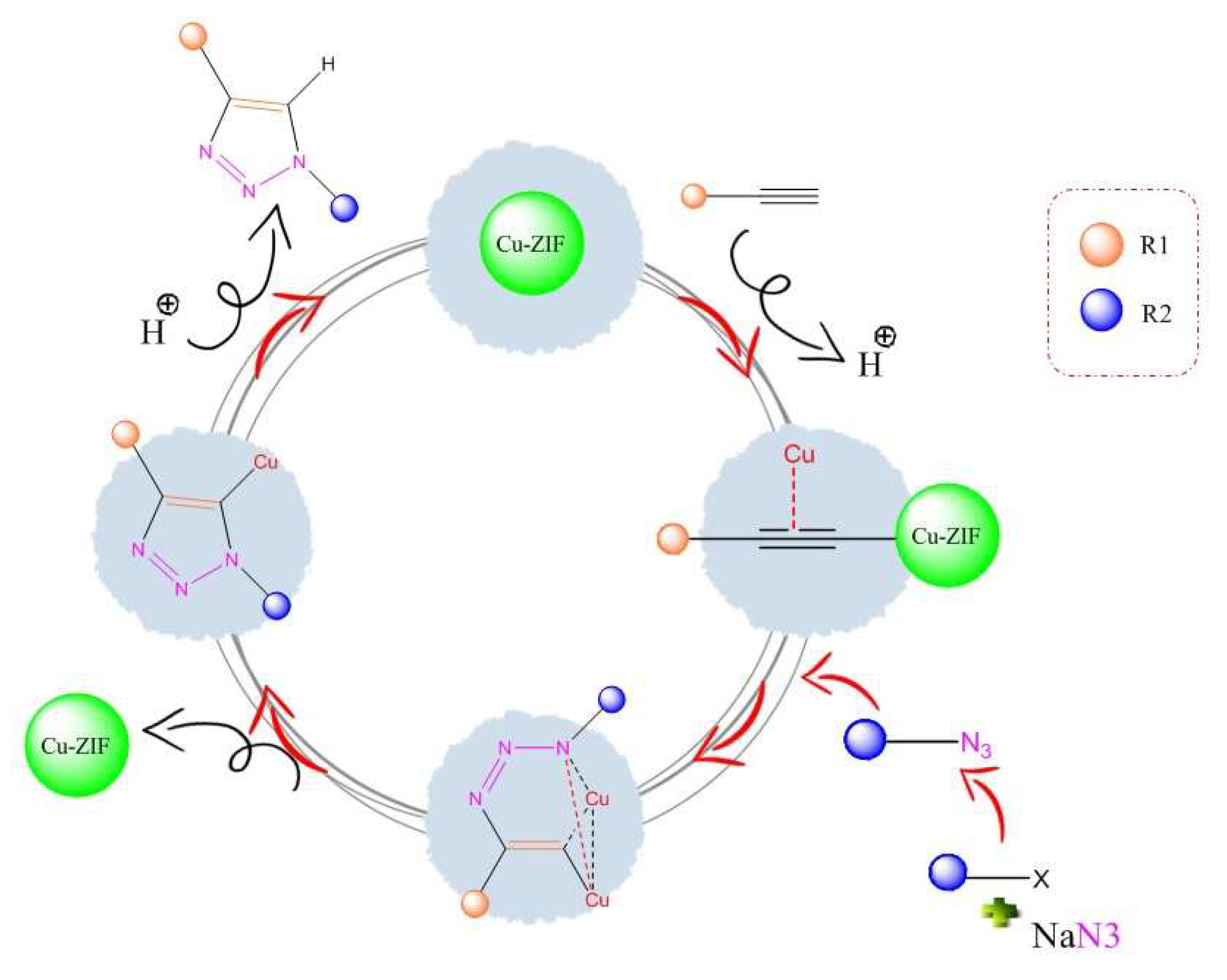 Catalysts 13 01003 g007 Catalysts 13 01003 g007