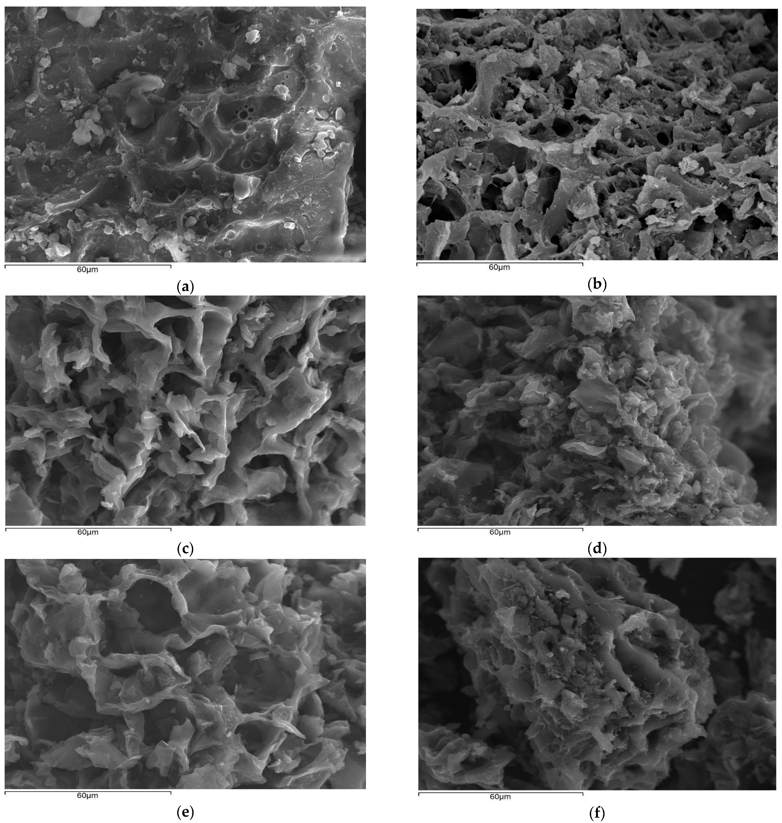 Catalysts 13 01004 g001 Catalysts 13 01004 g001