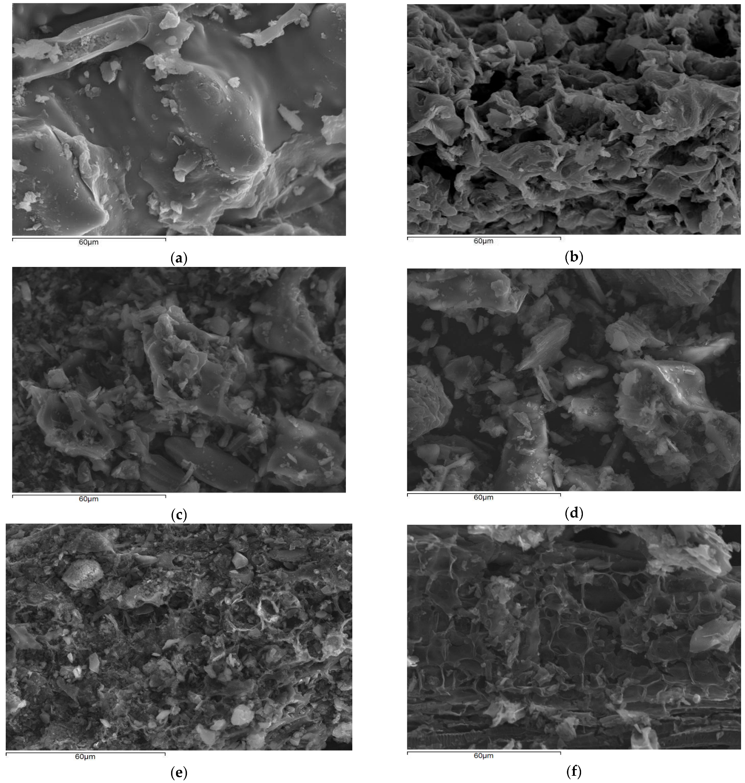 Catalysts 13 01004 g003 Catalysts 13 01004 g003