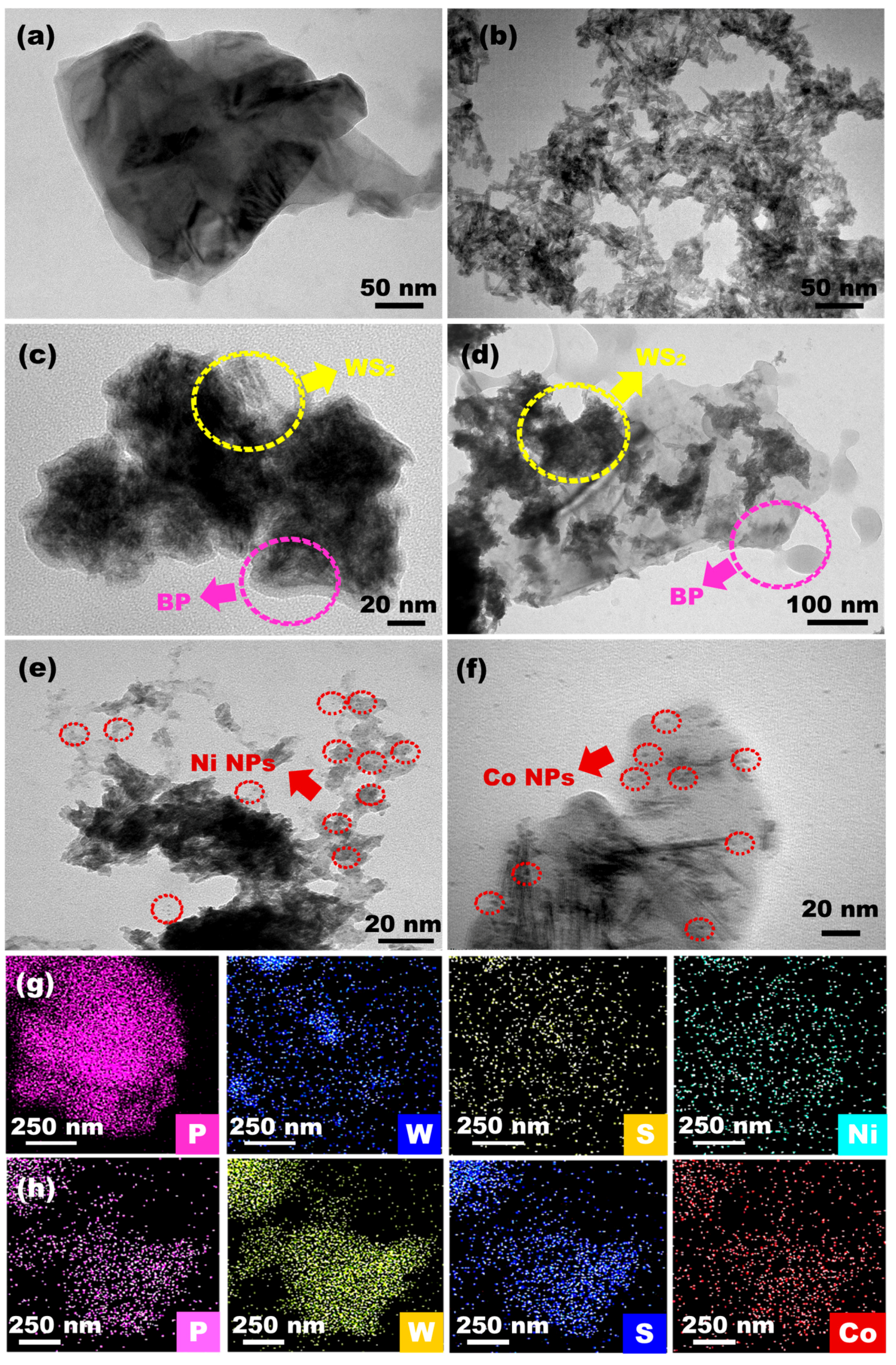 Catalysts 13 01006 g001