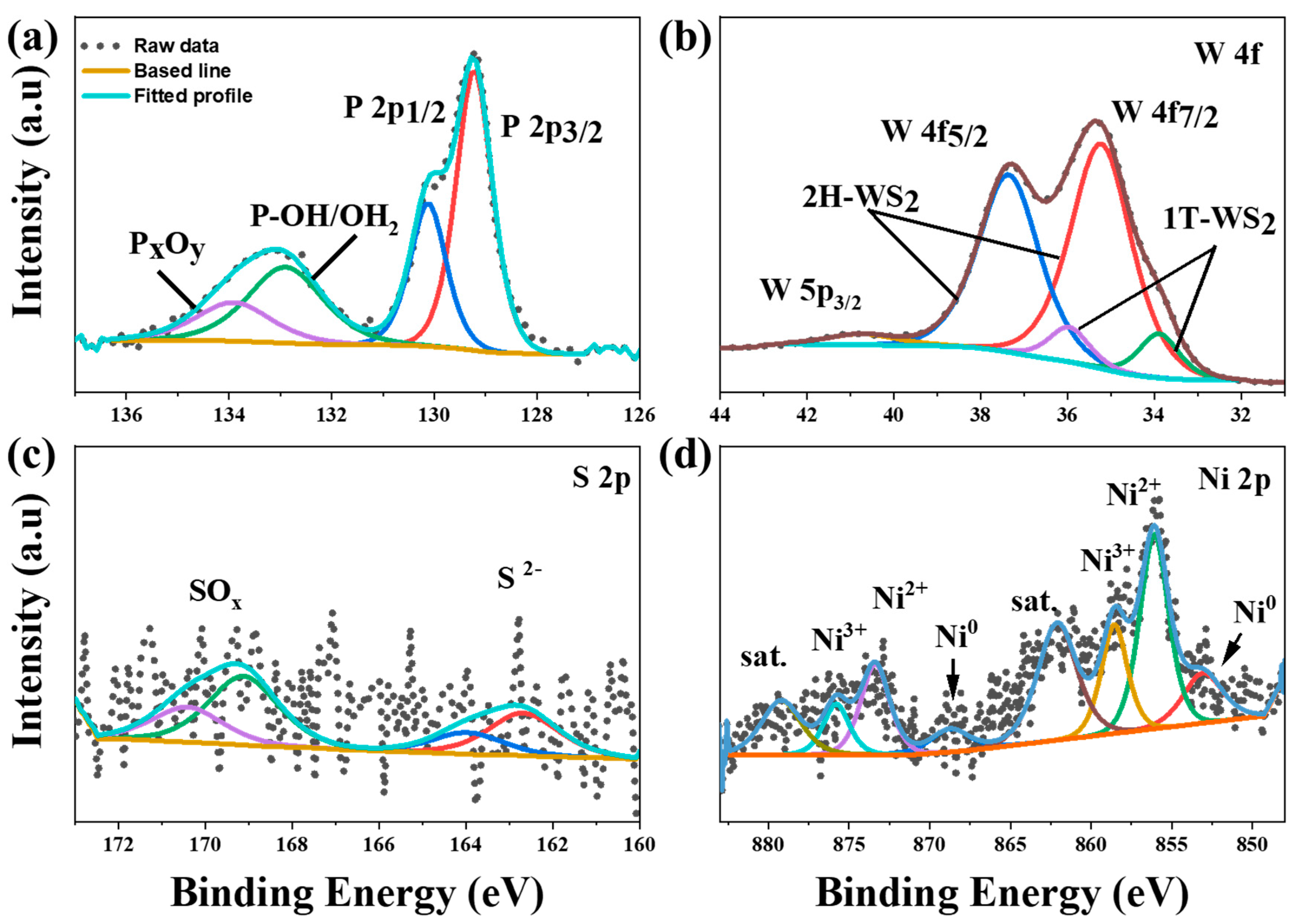 Catalysts 13 01006 g003