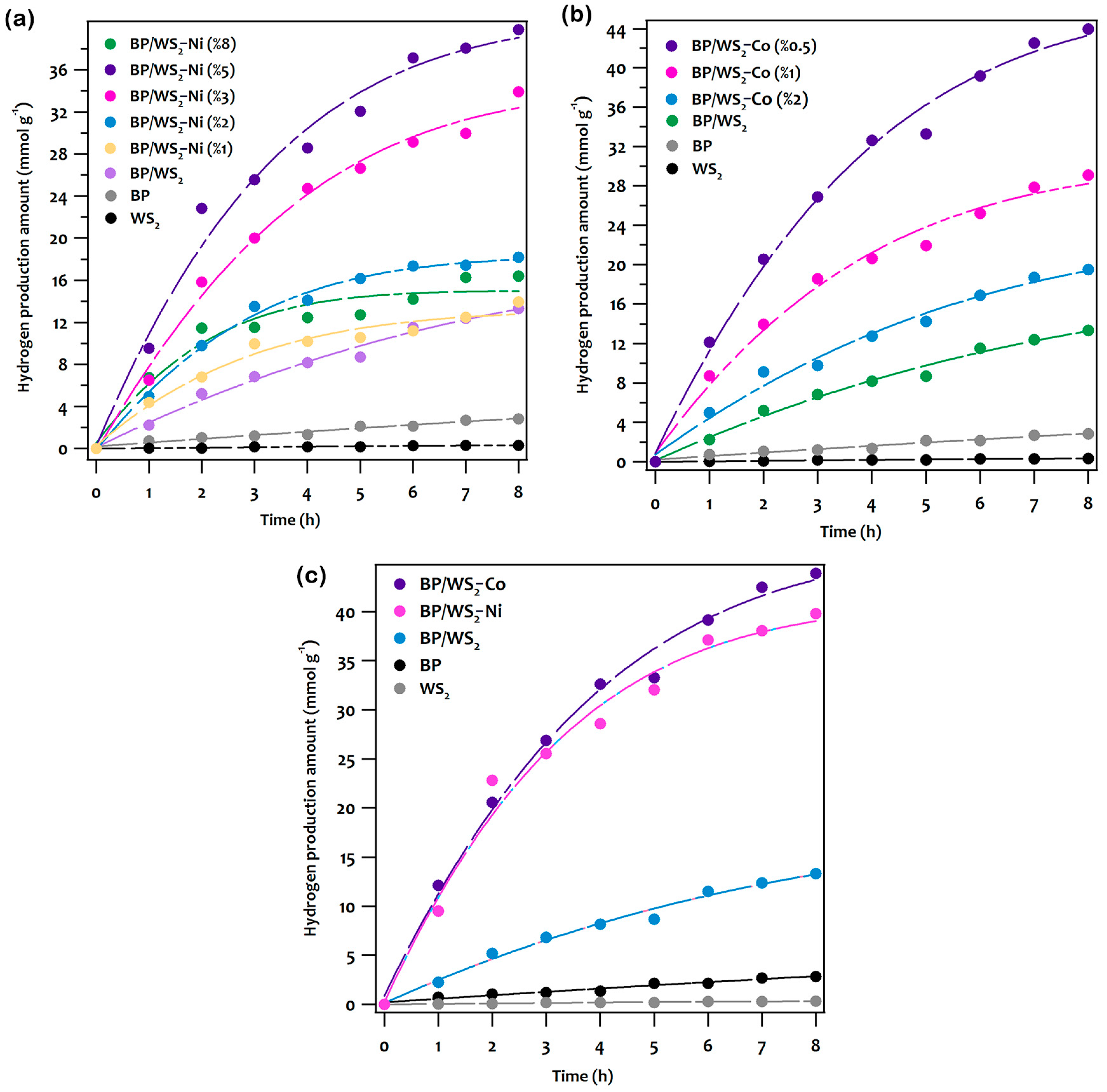 Catalysts 13 01006 g005