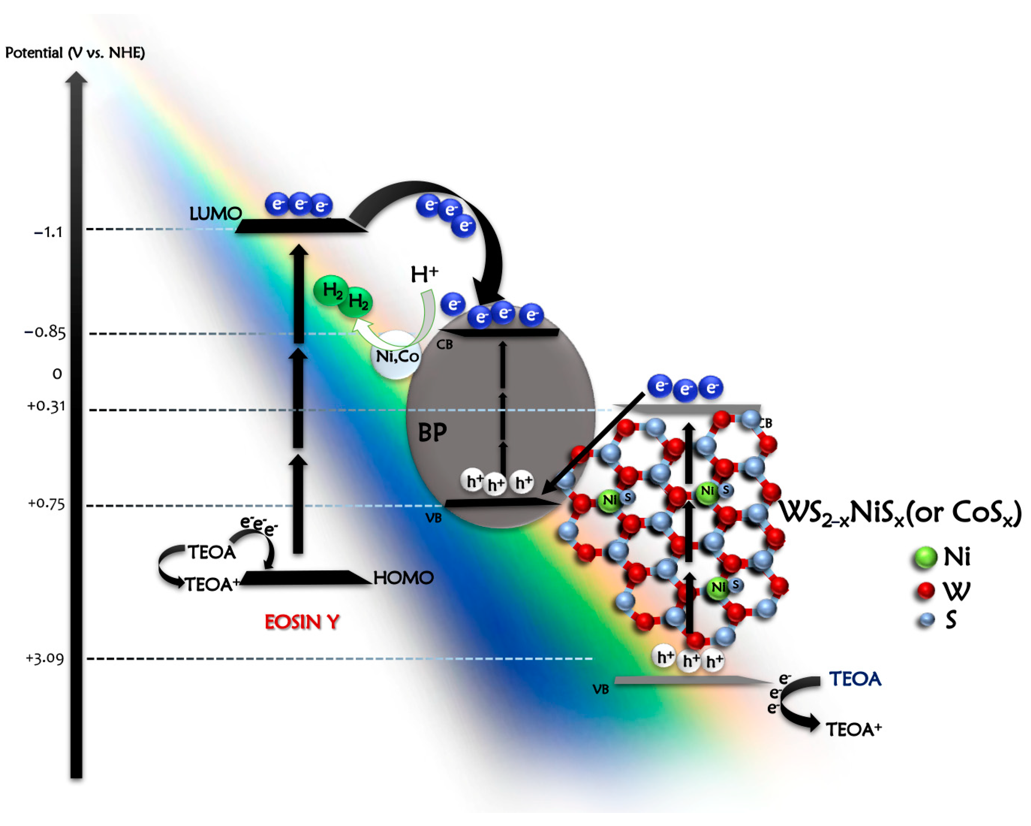 Catalysts 13 01006 g006