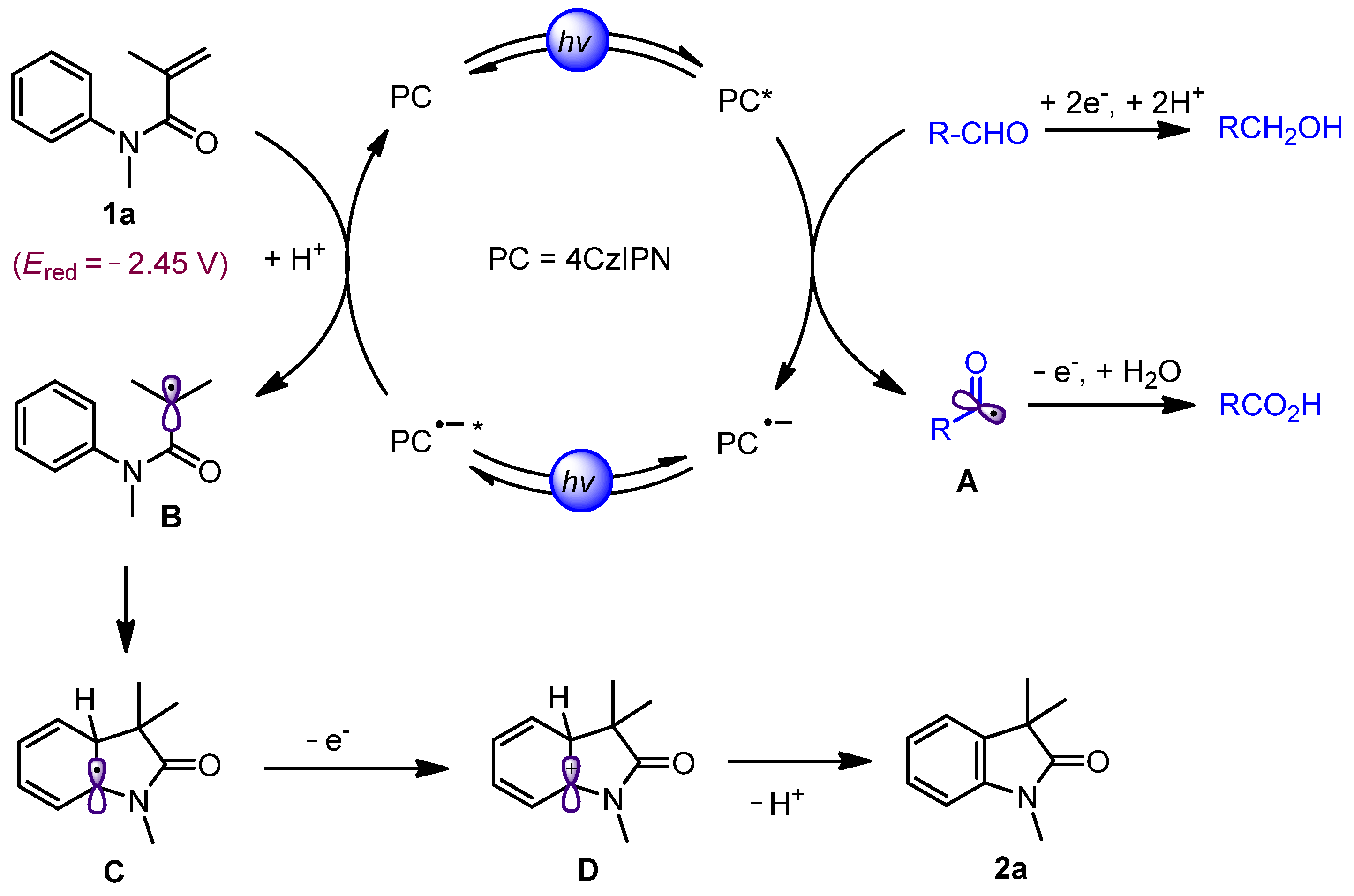 Catalysts 13 01007 sch002