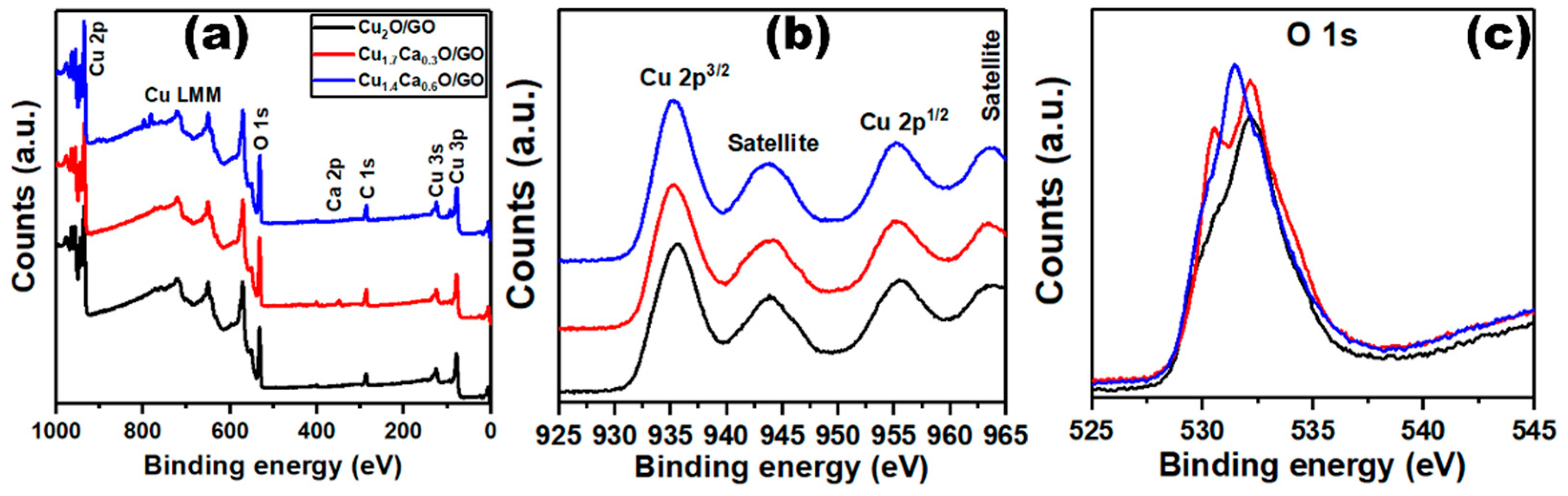 Catalysts 13 01010 g006