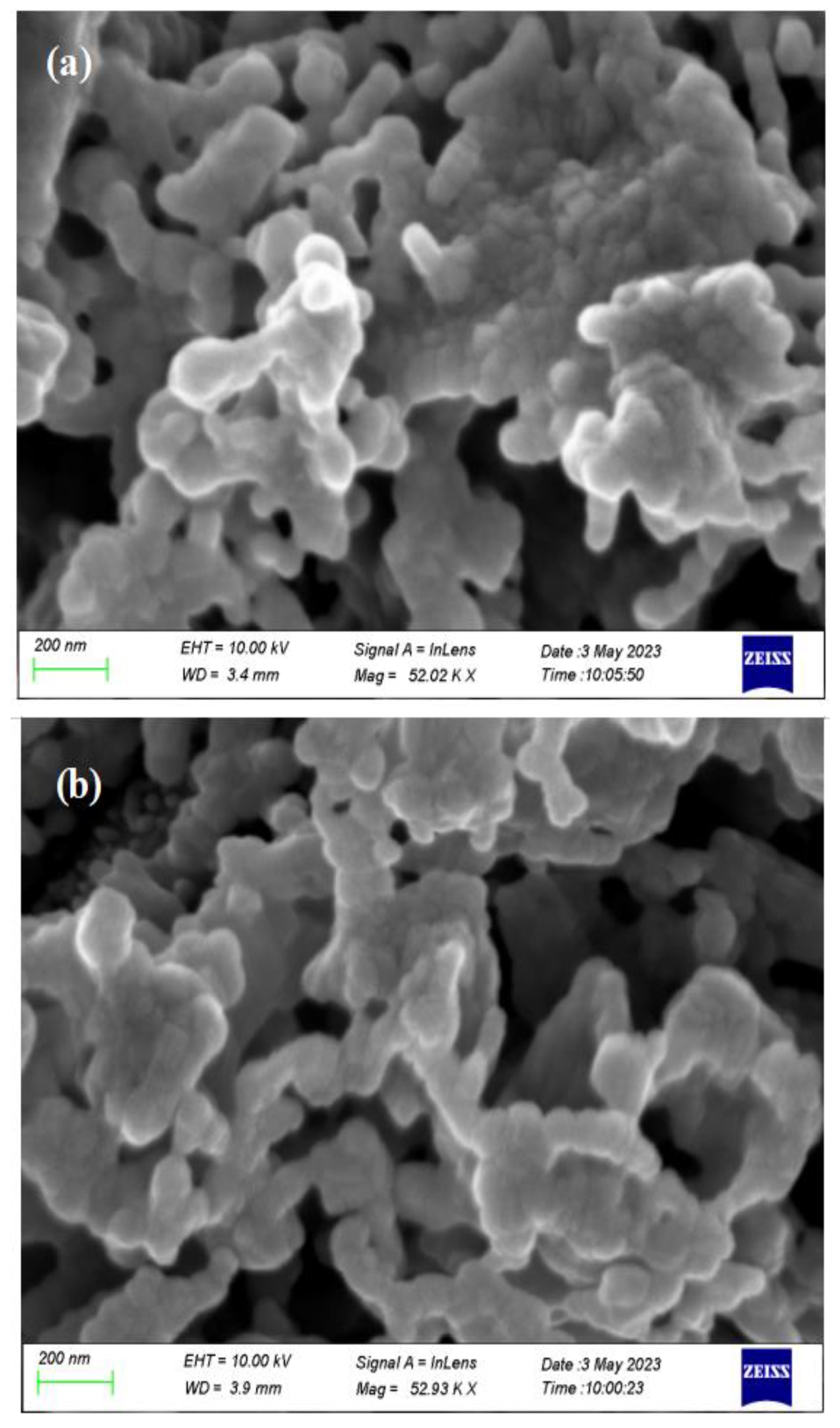 Catalysts 13 01014 g011 Catalysts 13 01014 g011