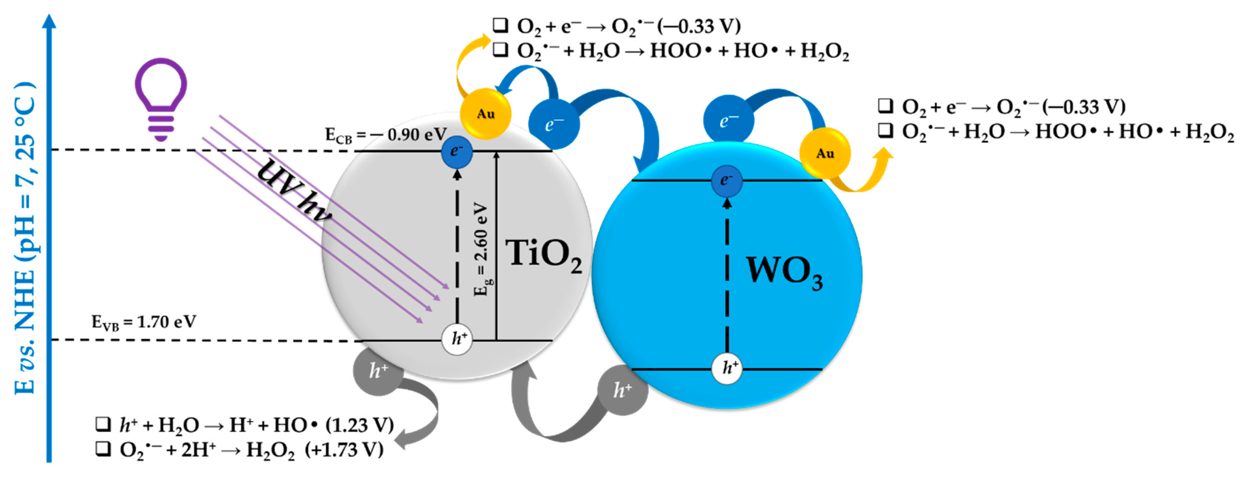 Catalysts 13 01015 g010