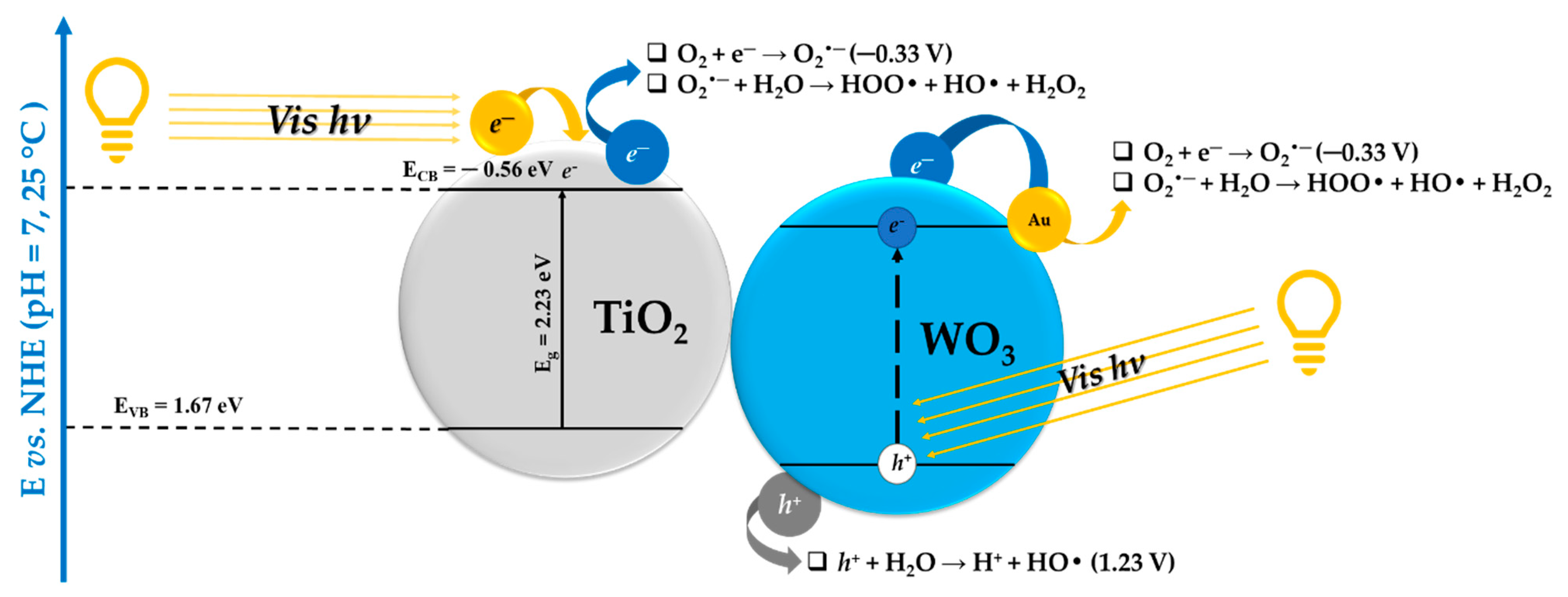 Catalysts 13 01015 g011
