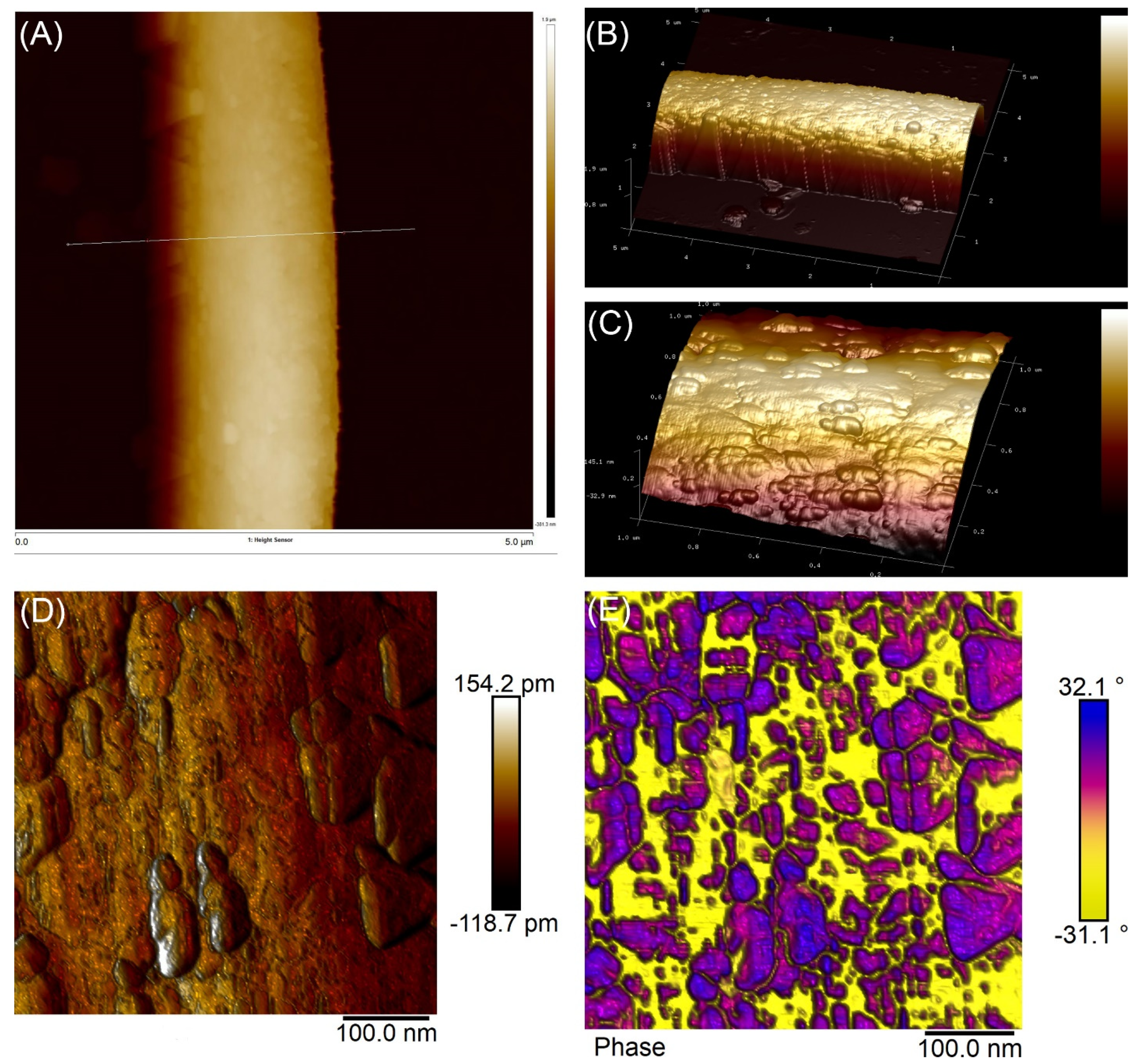Catalysts 13 01017 g009