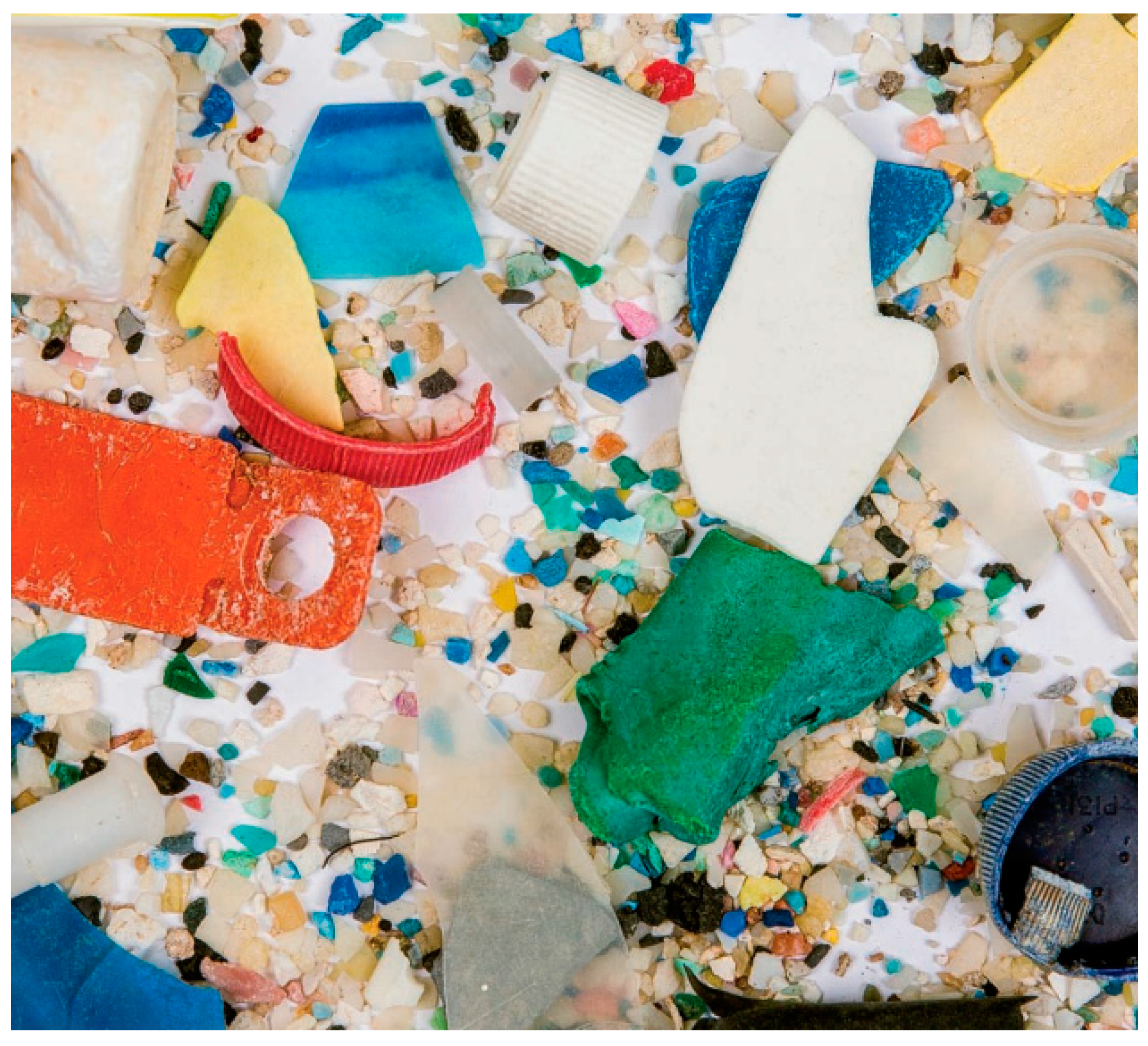 Catalysts 13 01019 g001 Catalysts 13 01019 g001