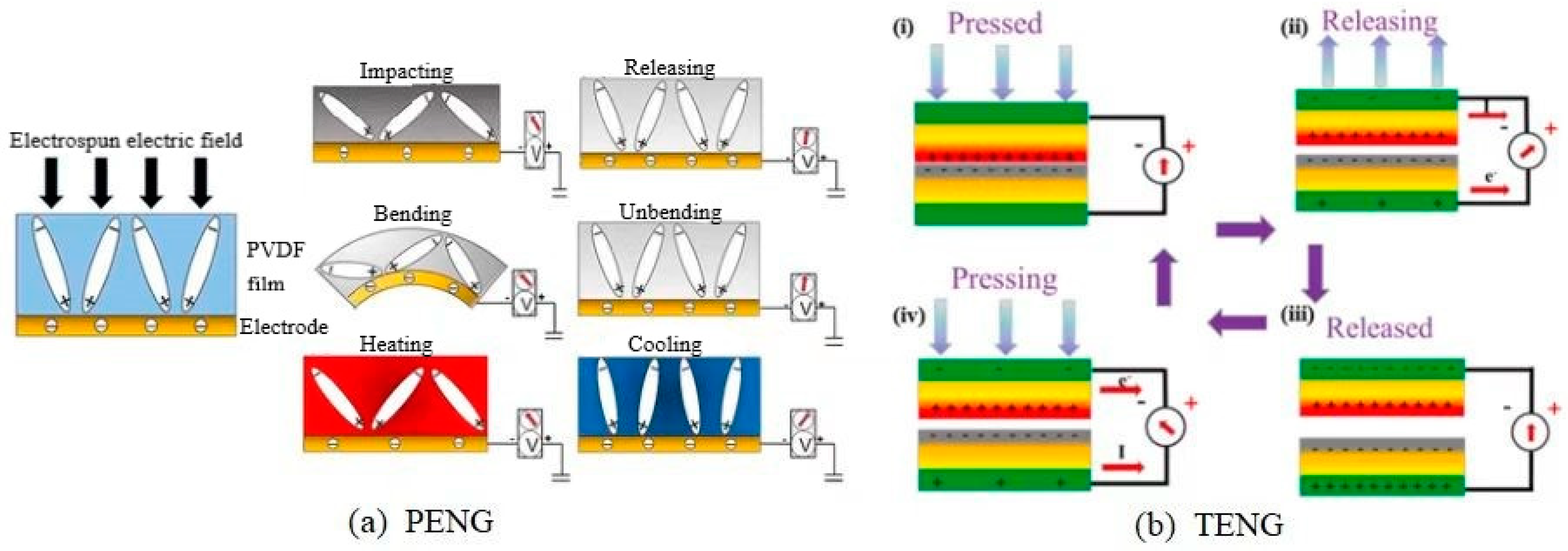 Catalysts 13 01019 g002 Catalysts 13 01019 g002