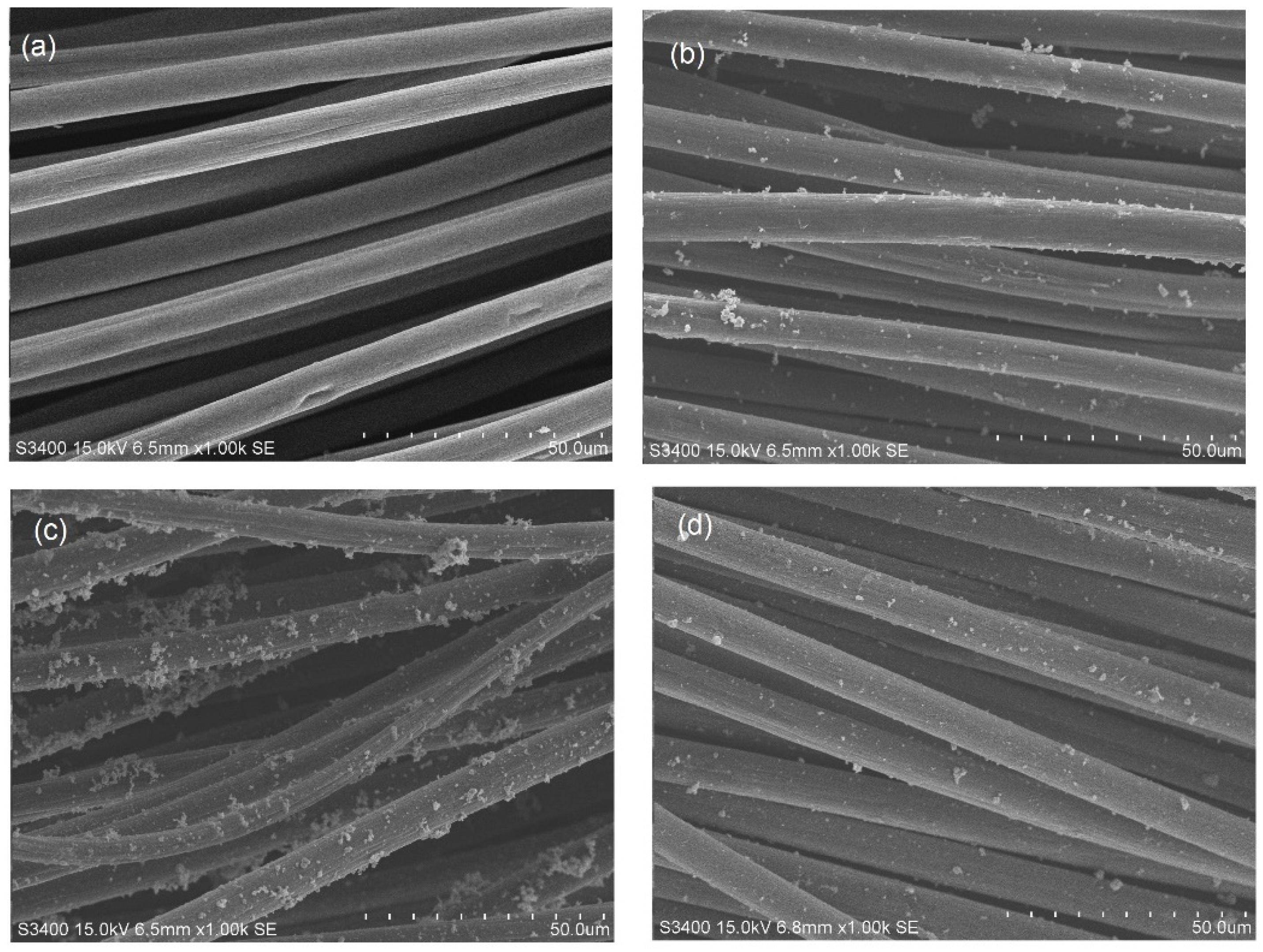 Catalysts 13 01020 g002 Catalysts 13 01020 g002